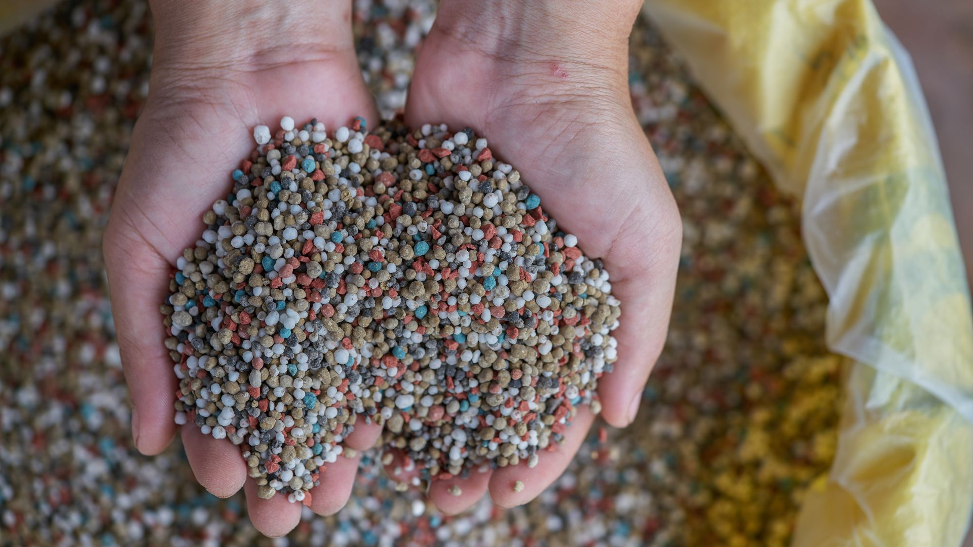 51-Billeder i mails og artikler (1920 × 1080px) (76).jpg