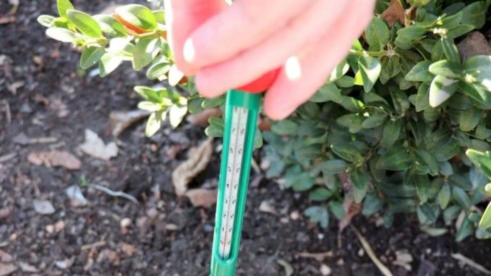 517-Billeder i mails og artikler (1920 × 1080px) - 2023-10-31T130743.623.jpg