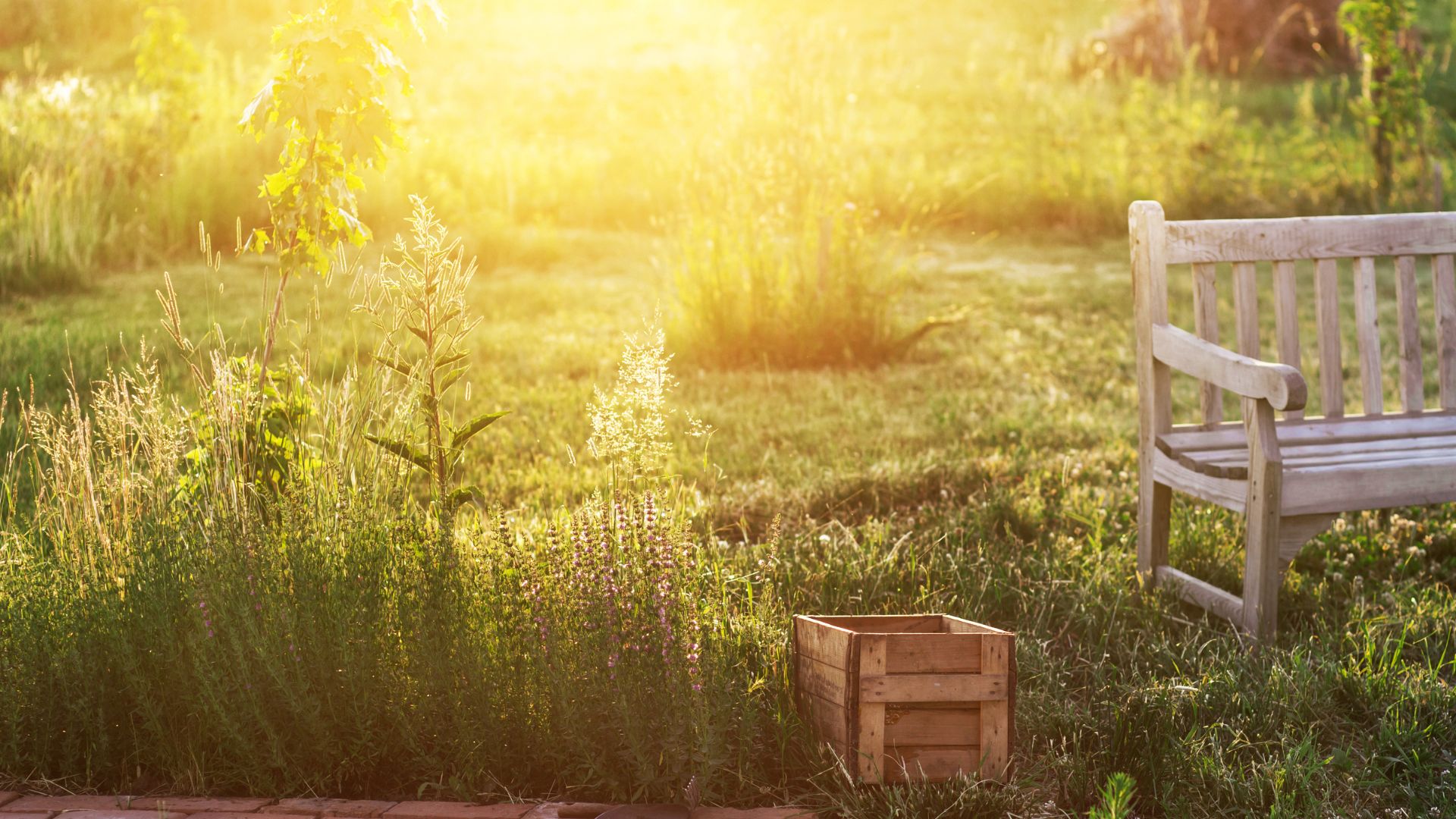 527-Billeder i mails og artikler (1920 × 1080px) (11).jpg