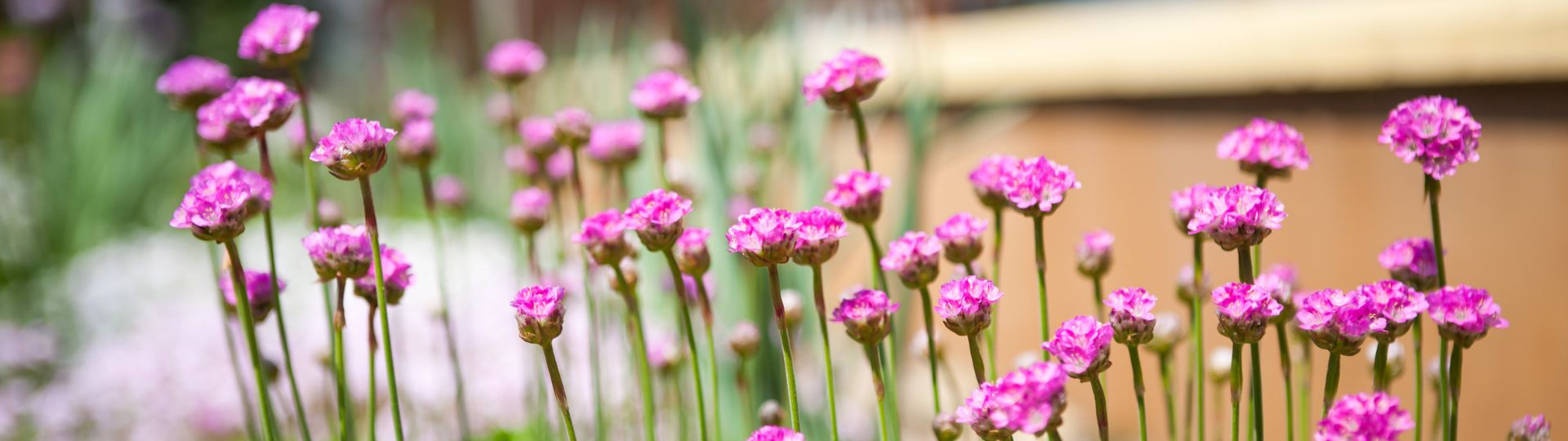 532-til lister (1920 × 540px) (4).jpg