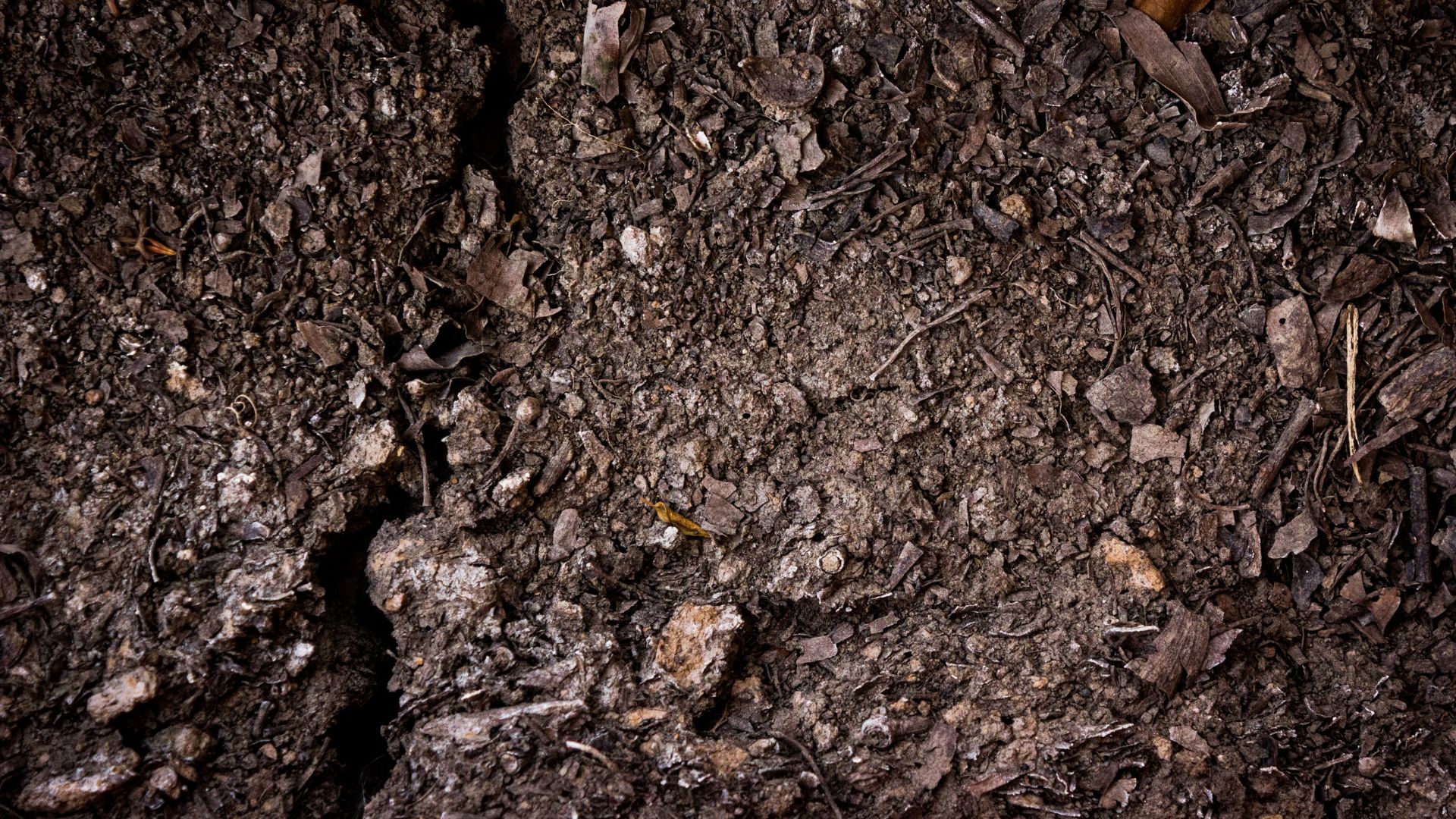 533-Billeder i mails og artikler (1920 × 1080px) - 2023-12-19T134952.514.jpg