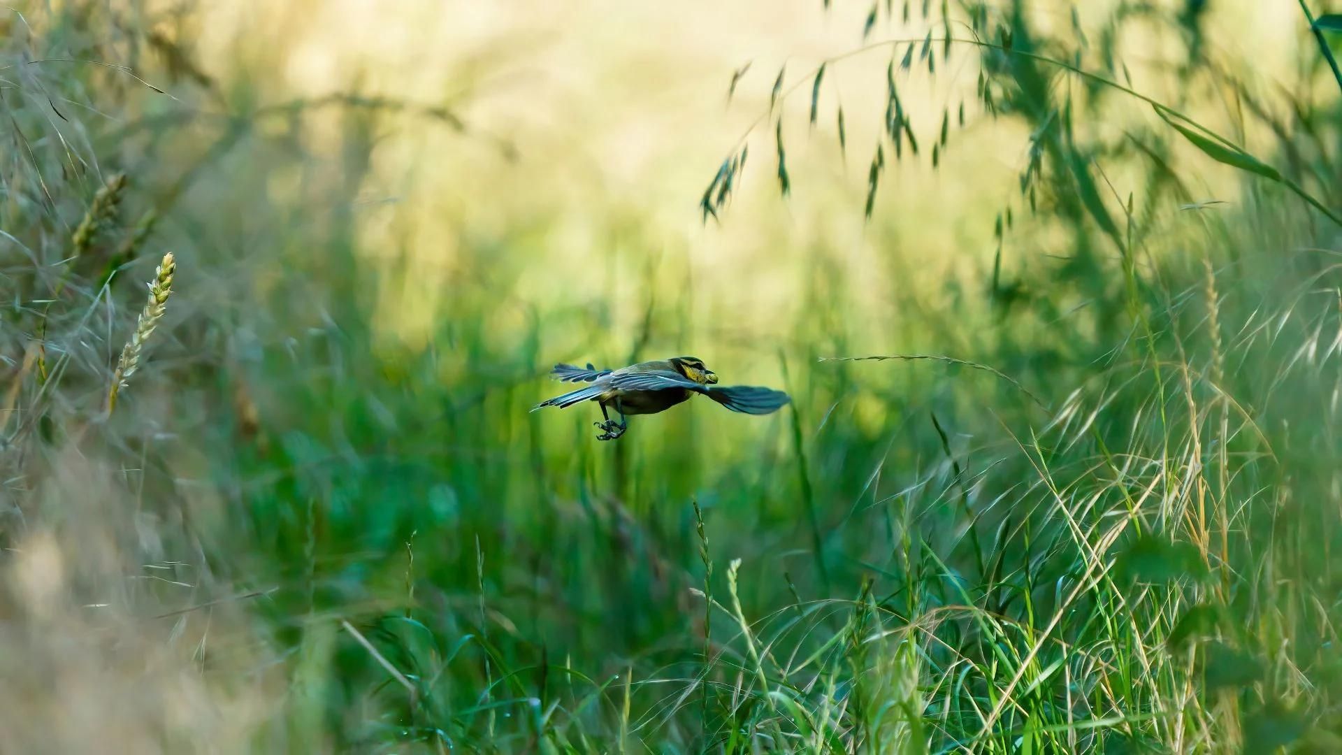 536-Billeder i mails og artikler (1920 × 1080px) (89).jpg