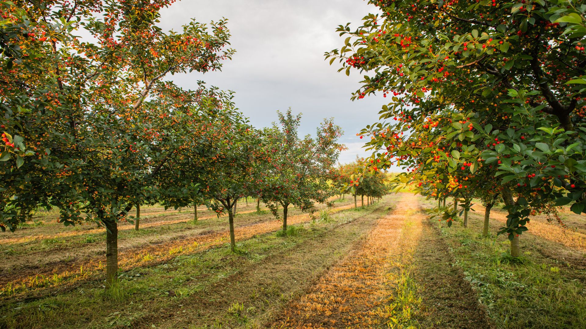 537-Billeder i mails og artikler (1920 × 1080px) - 2023-12-04T092251.533.jpg