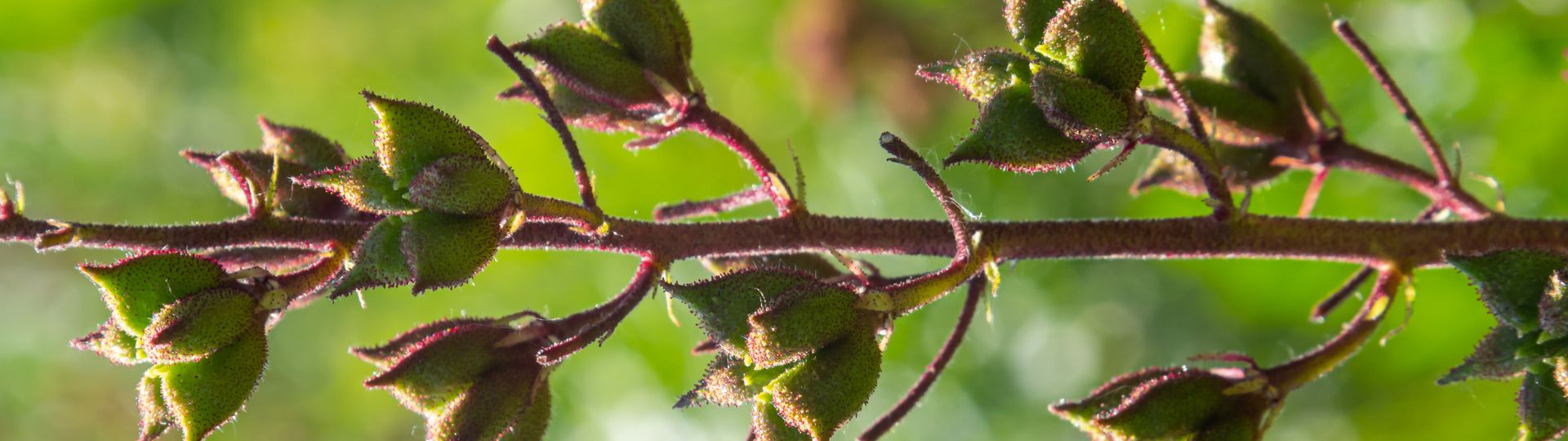 537-til lister (1920 × 540px) (8).jpg