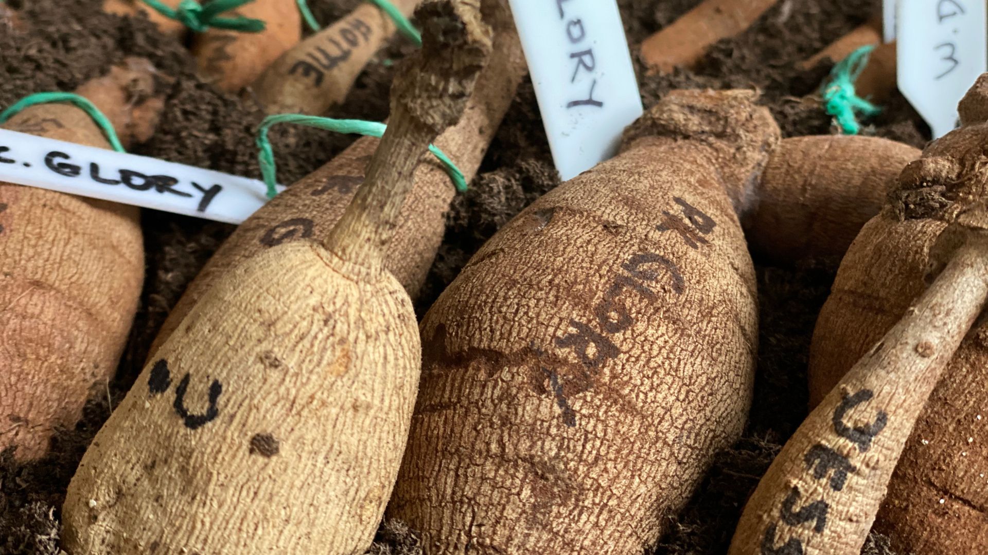 54-Billeder i mails og artikler (1920 × 1080px) (80).jpg