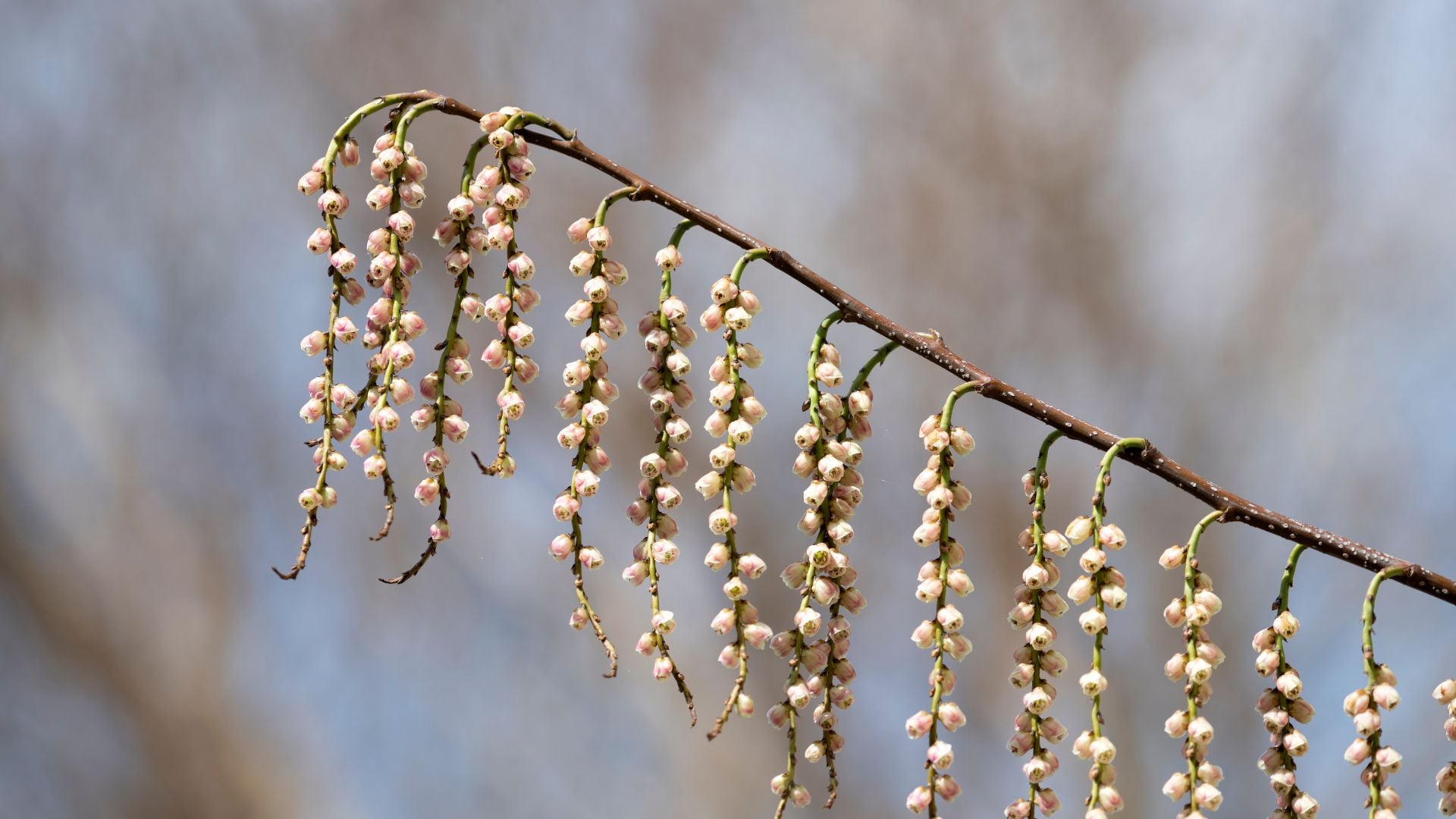 552-artikelbilleder (1920 × 1080px) (2).jpg