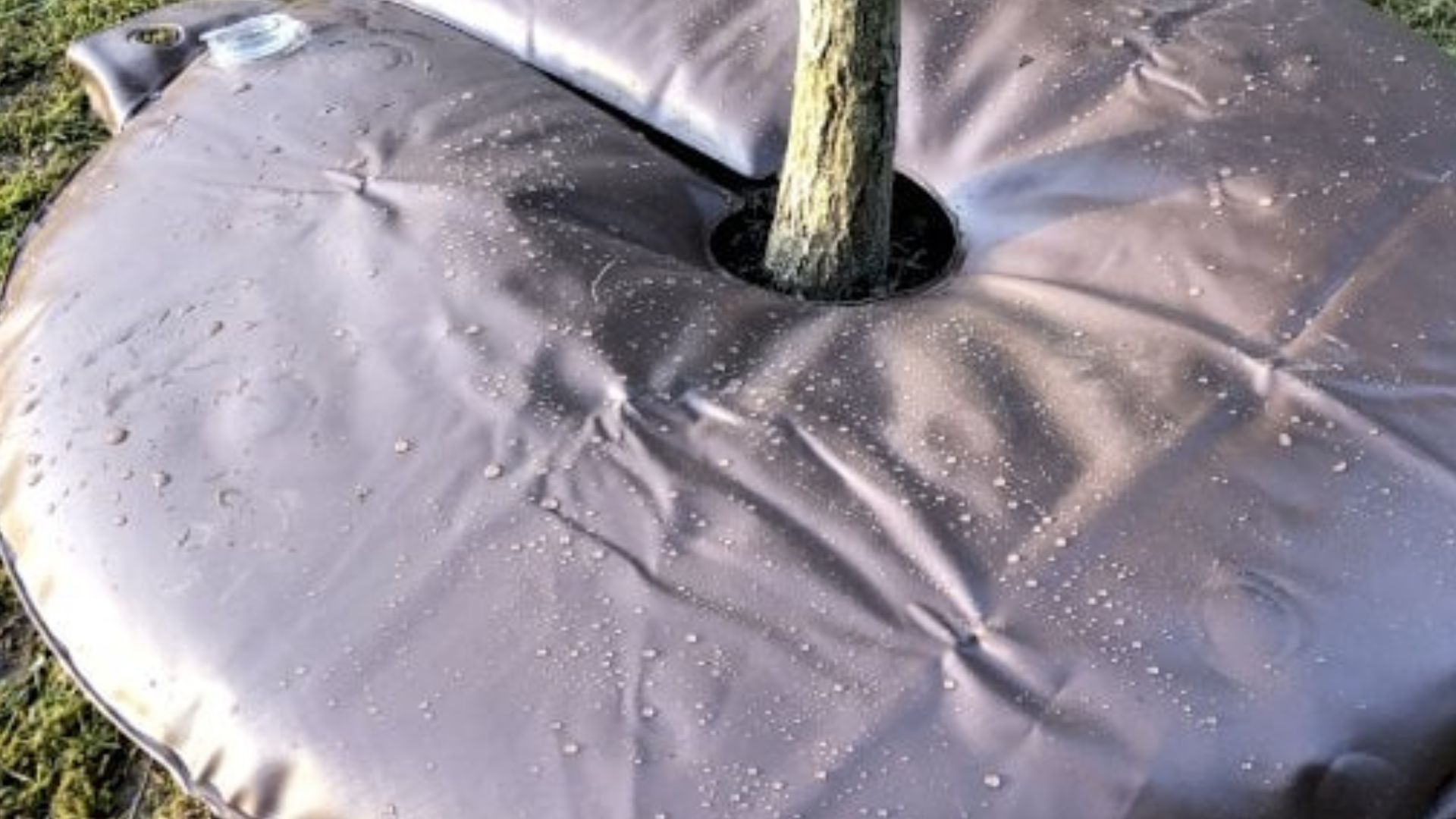 554-384-Billeder i mails og artikler (1920 × 1080px) - 2023-06-14T110356.800.jpg