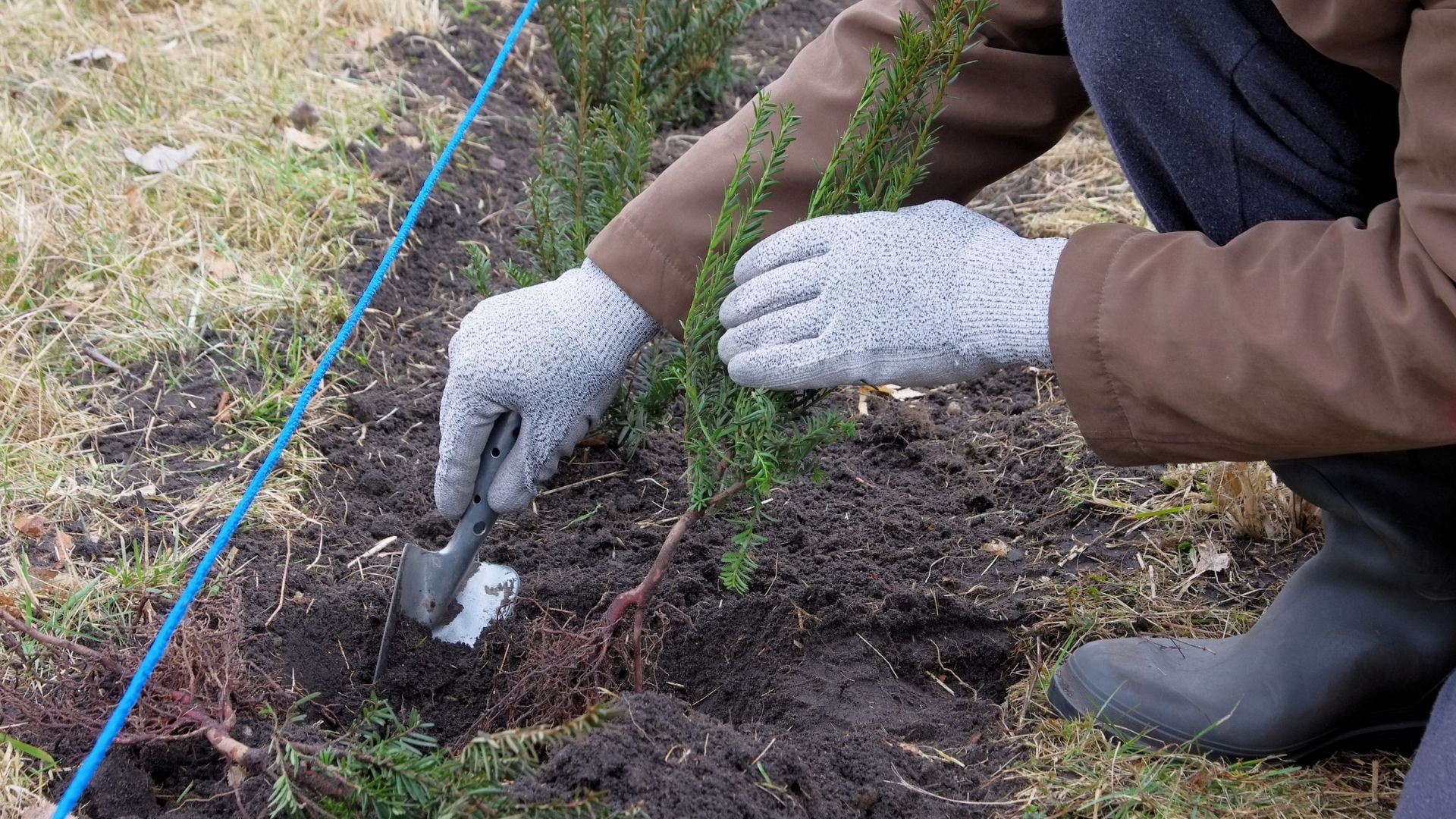 566-Billeder i mails og artikler (1920 × 1080px) (48).jpg