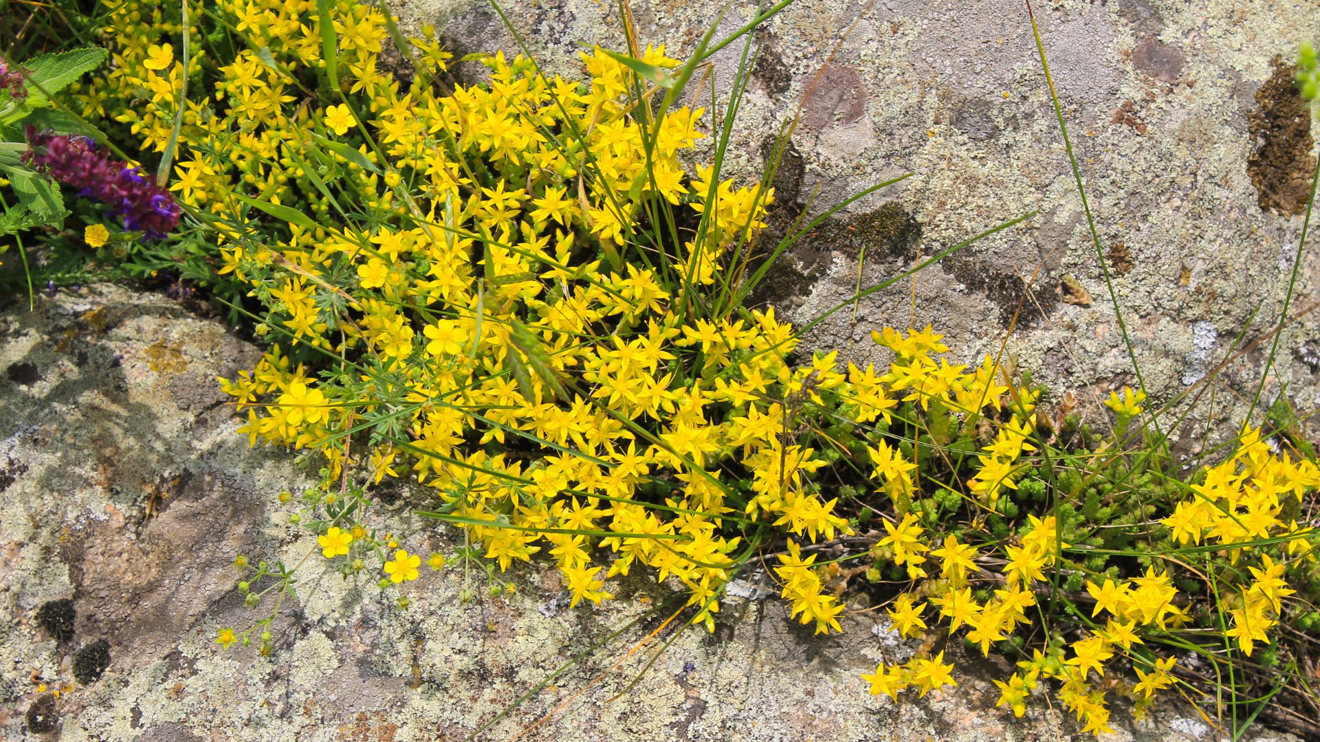 568-Billeder i mails og artikler (1920 × 1080px) (63).jpg