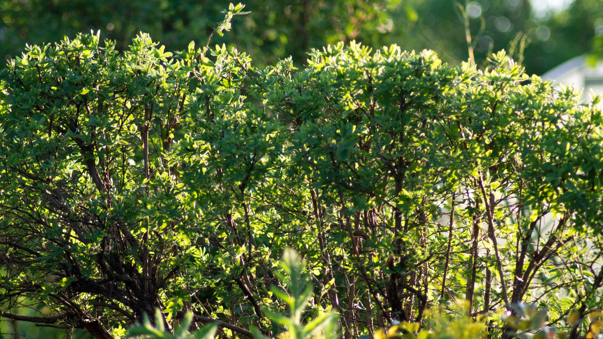 569-Billeder i mails og artikler (1920 × 1080px) (51).jpg