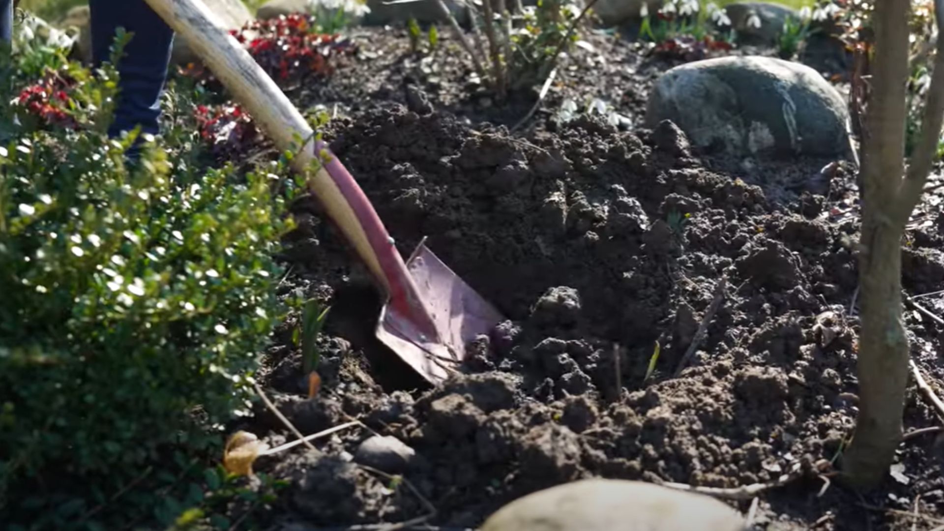 570-Billeder i mails og artikler (1920 × 1080px) - 2024-01-18T132330.514.jpg