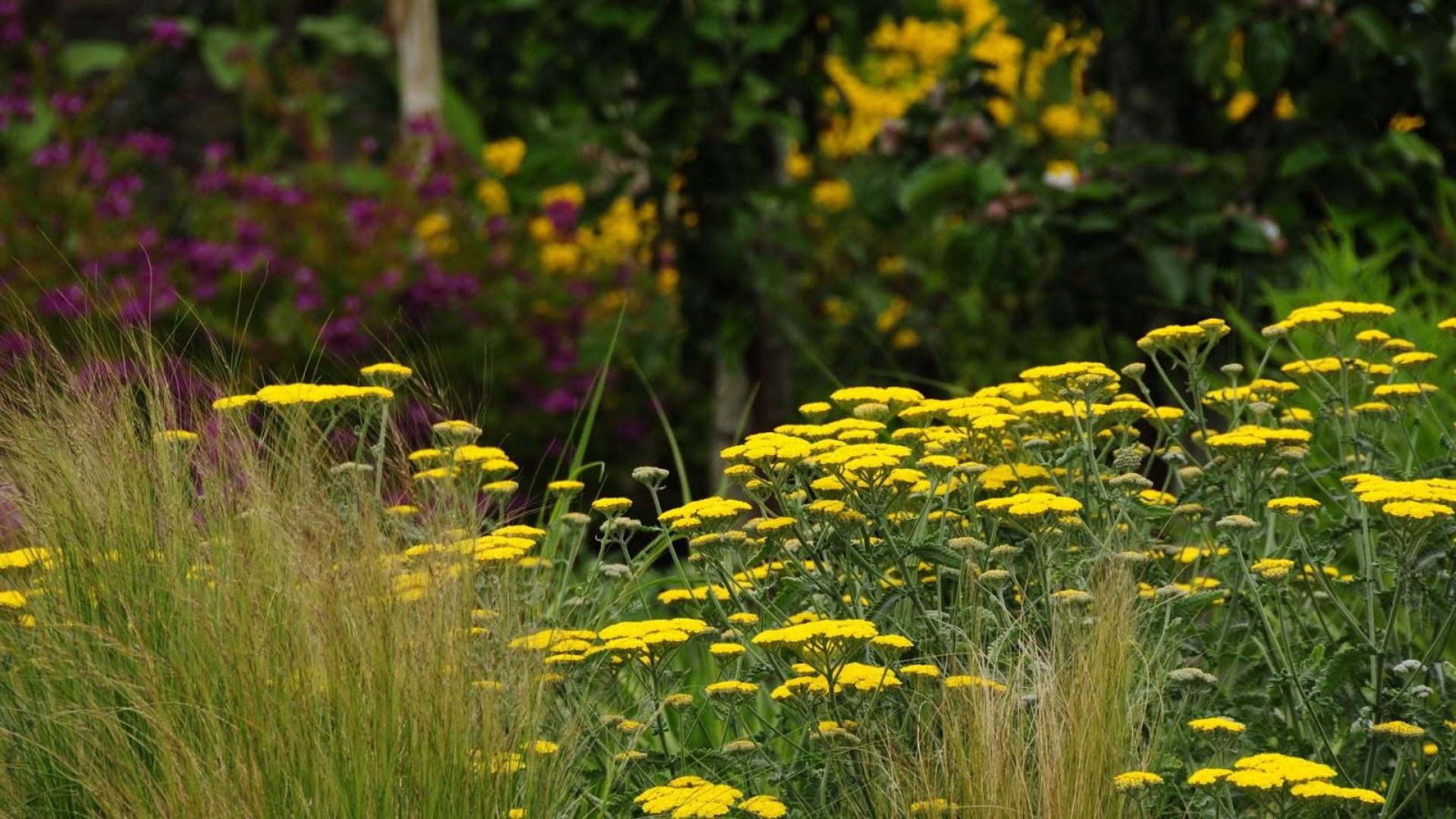 572-Billeder i mails og artikler (1920 × 1080px) - 2023-10-25T132127.757.jpg