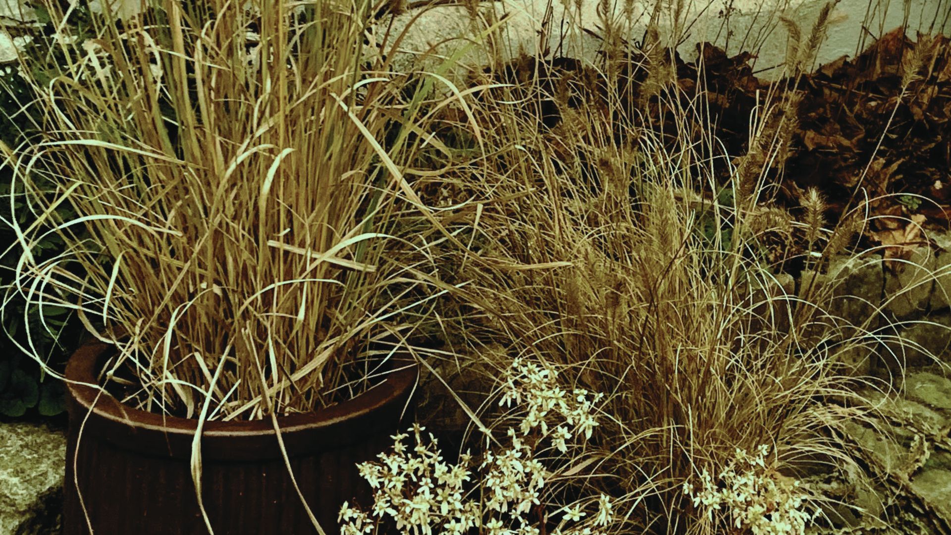 572-Billeder i mails og artikler (1920 × 1080px) - 2023-11-07T124658.165.jpg