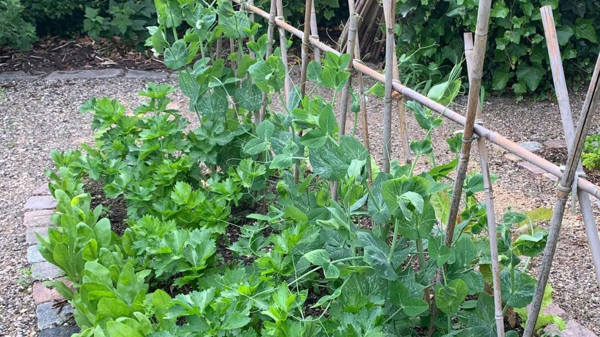 574-Billeder i mails og artikler (1920 × 1080px) (51).jpg