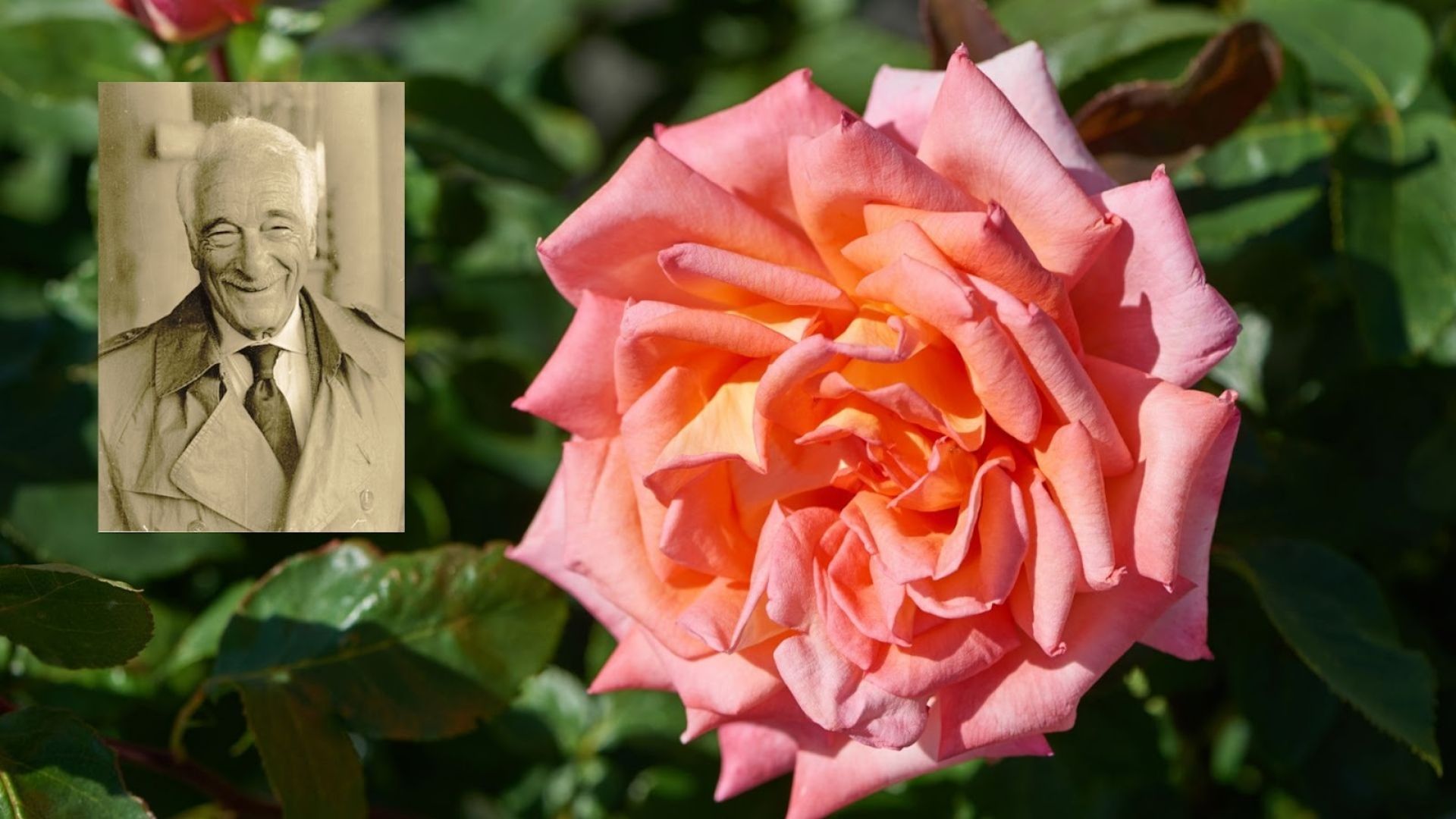 578-Billeder i mails og artikler (1920 × 1080px) (4).jpg