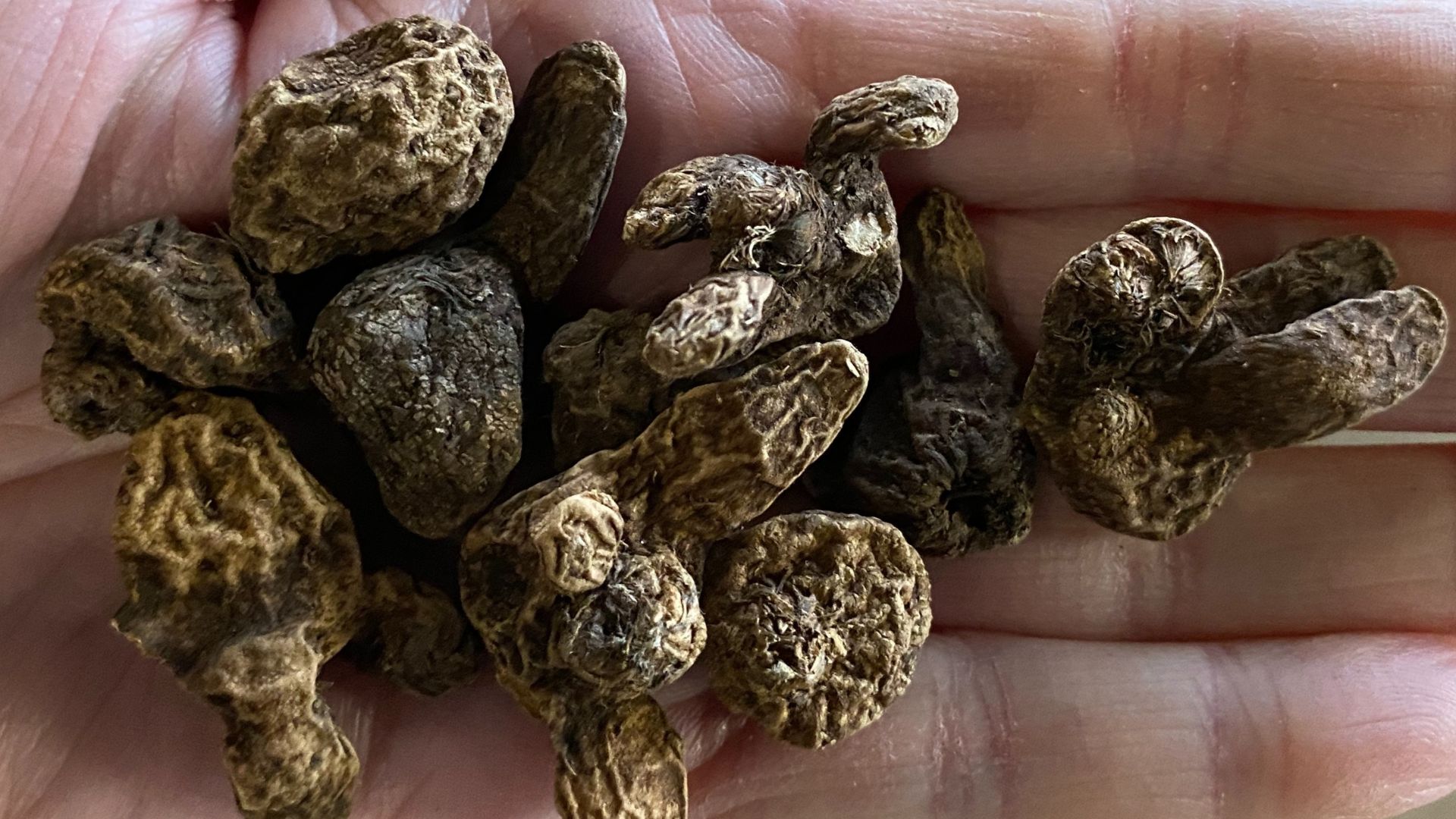 596-Billeder i mails og artikler (1920 × 1080px) (30).jpg