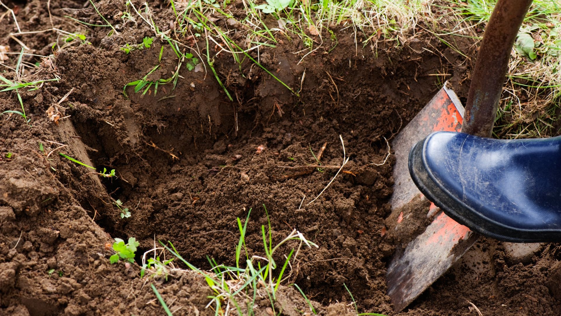 598-Billeder i mails og artikler (1920 × 1080px) (13).jpg