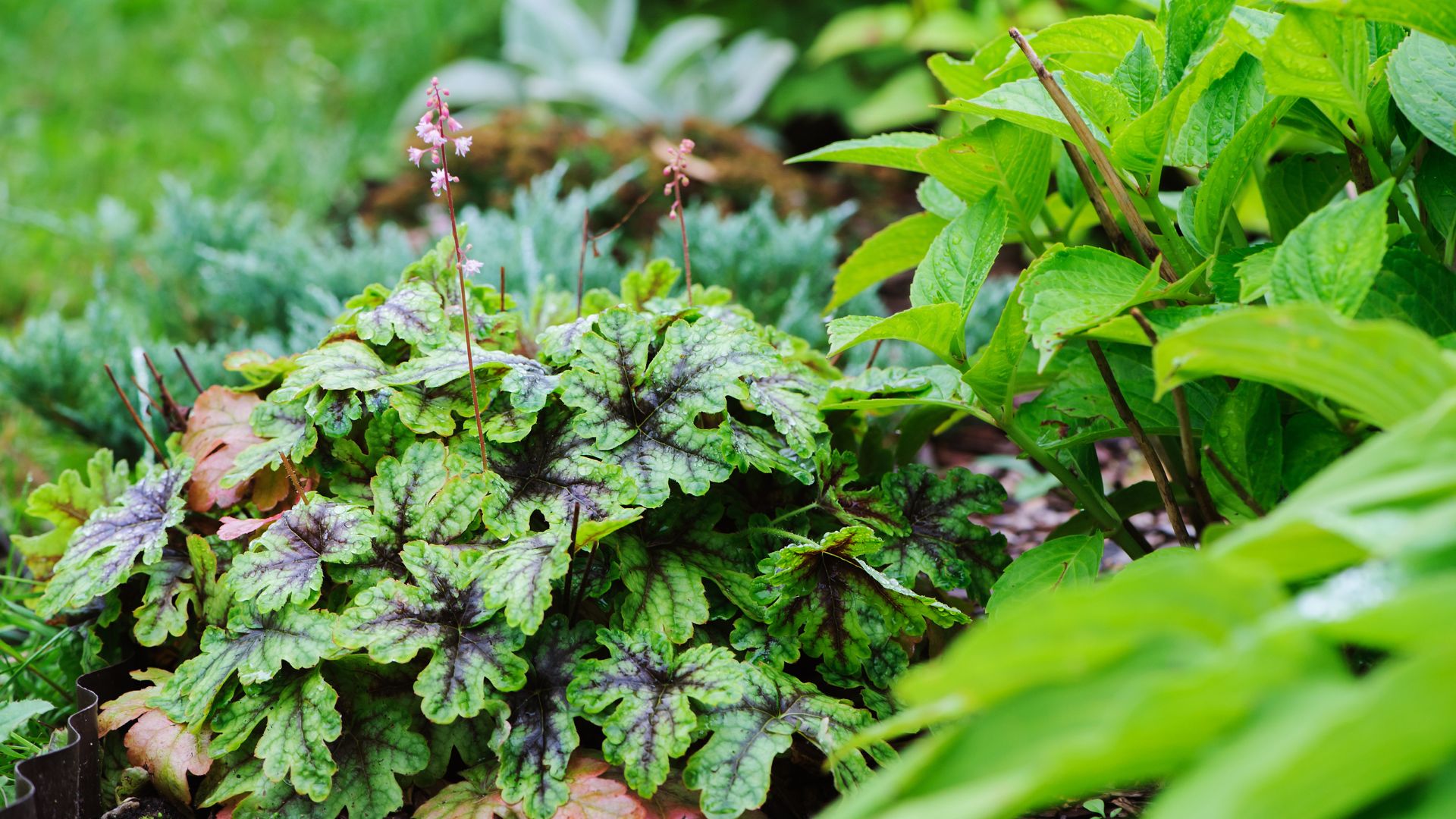 599-Billeder i mails og artikler (1920 × 1080px) - 2023-10-26T120354.460.jpg