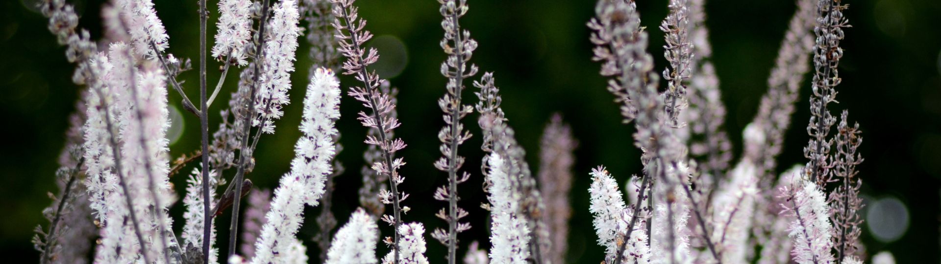 600-til lister (1920 × 540px) (1).jpg