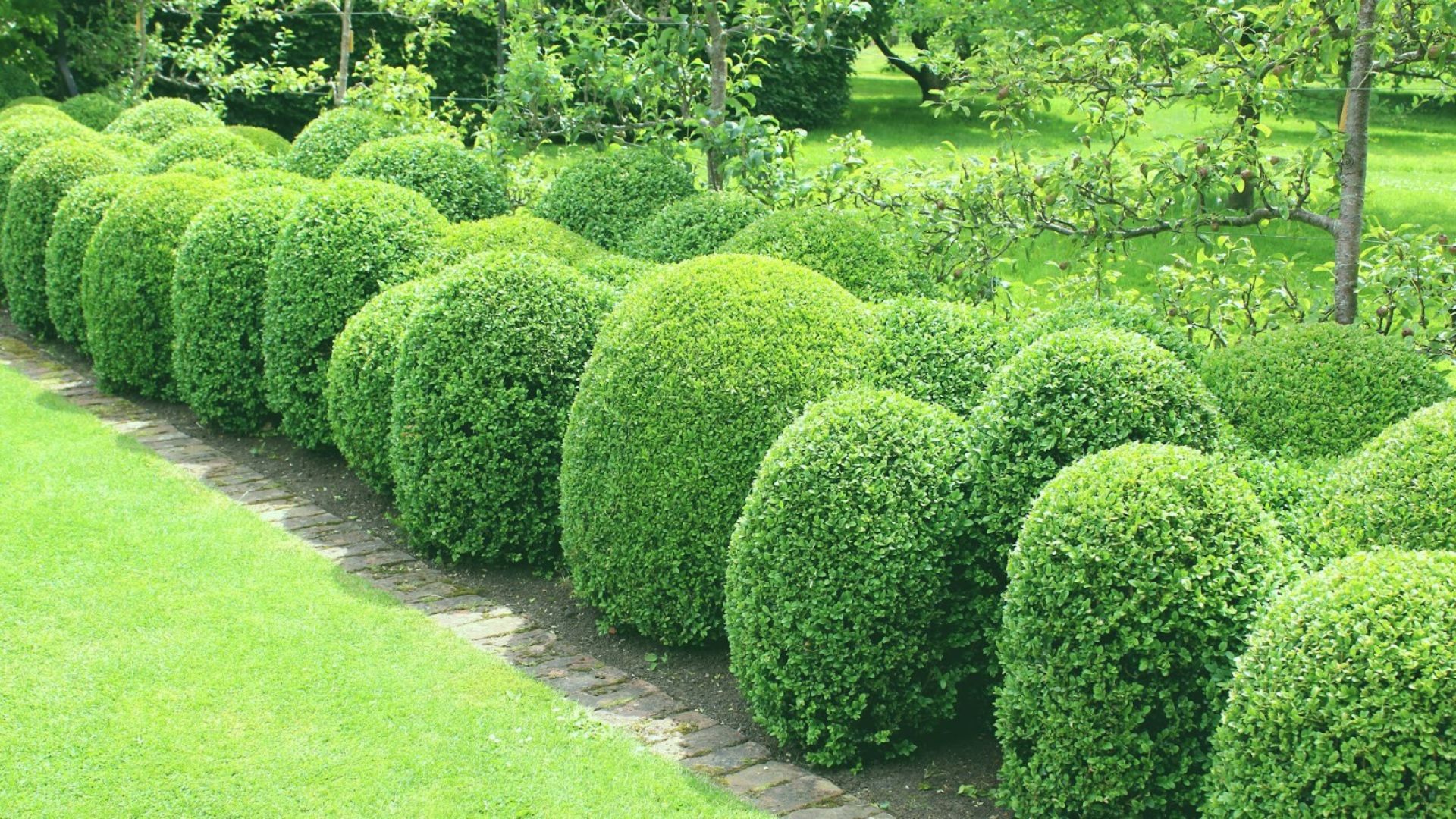 601-Billeder i mails og artikler (1920 × 1080px) (13).jpg