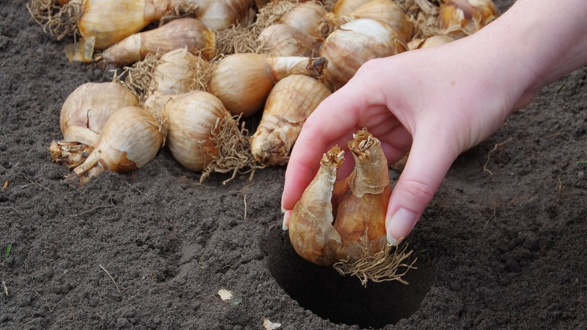 604-Billeder i mails og artikler (1920 × 1080px) - 2024-01-17T160304.612.jpg