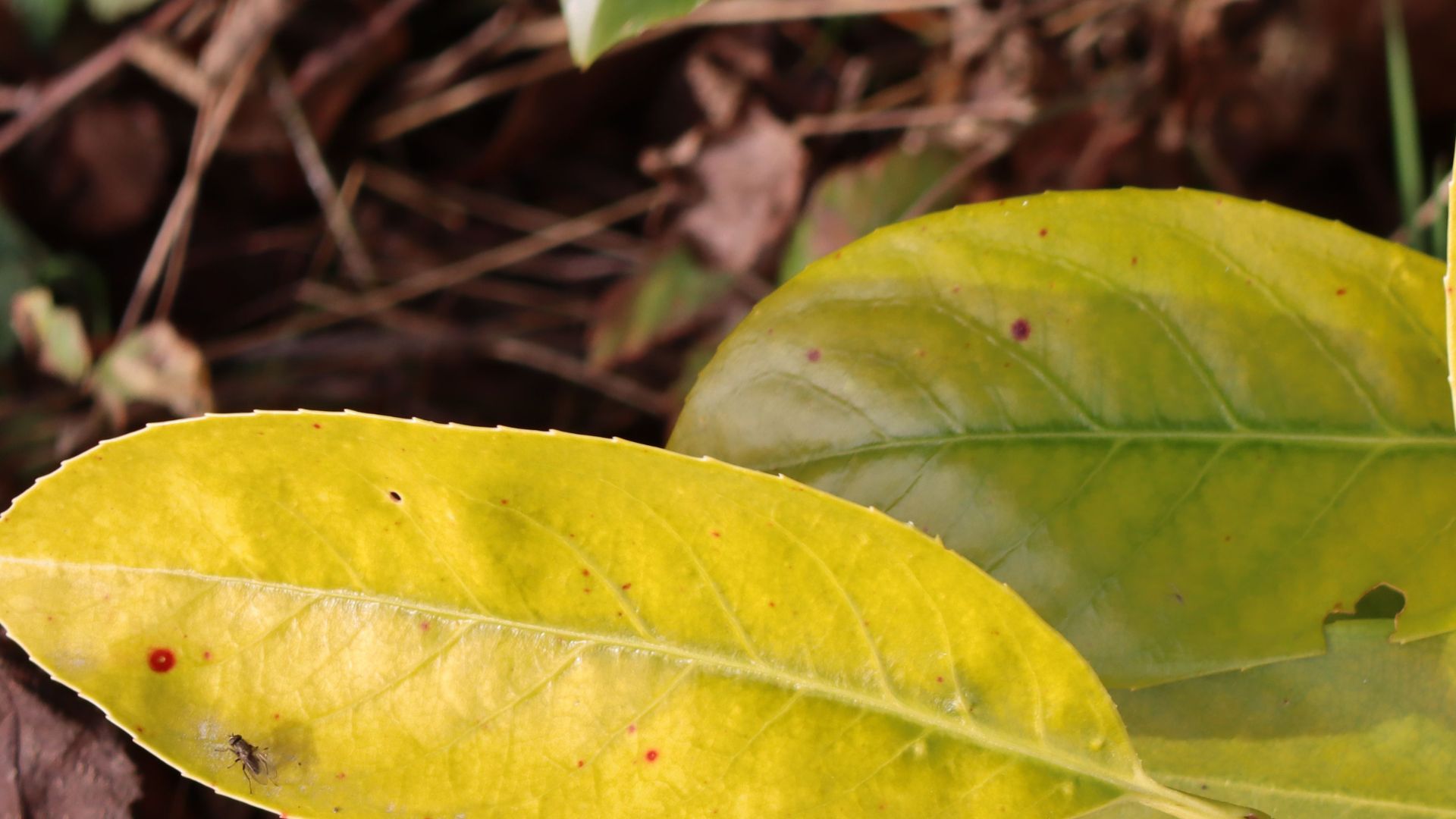 605-Billeder i mails og artikler (1920 × 1080px) (25).jpg