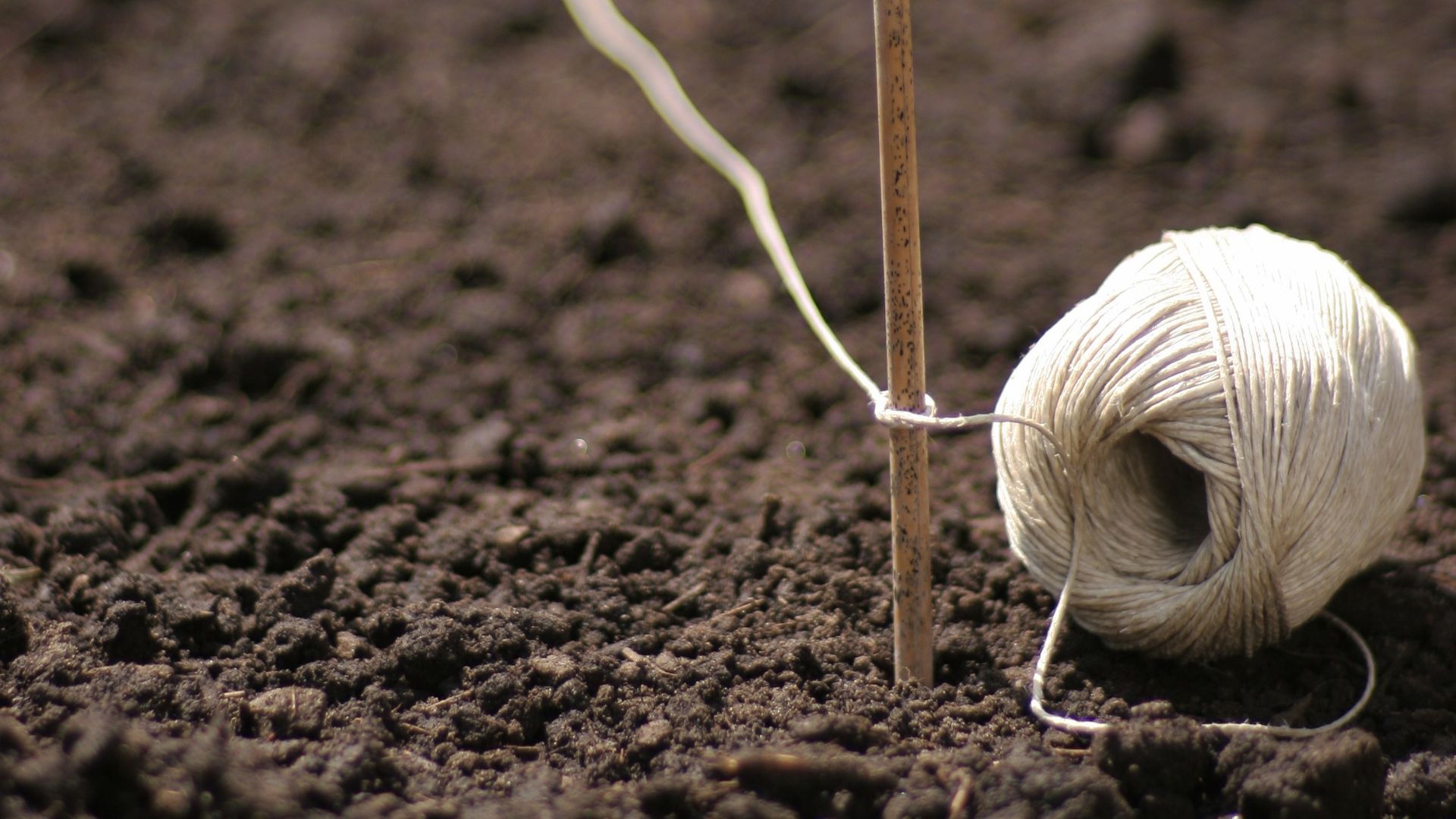 622-Billeder i mails og artikler (1920 × 1080px) (52).jpg