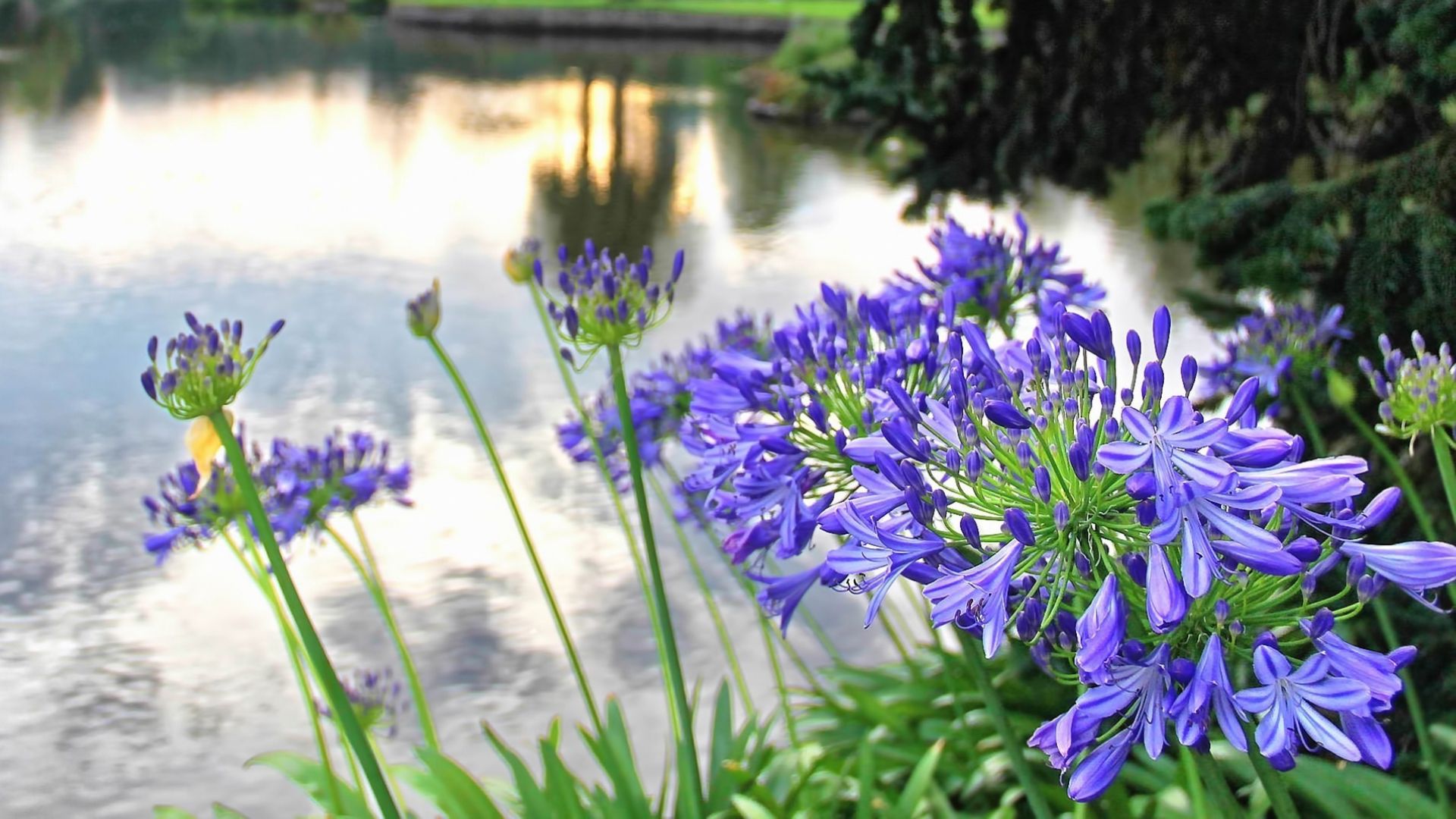 624-Billeder i mails og artikler (1920 × 1080px) (69).jpg