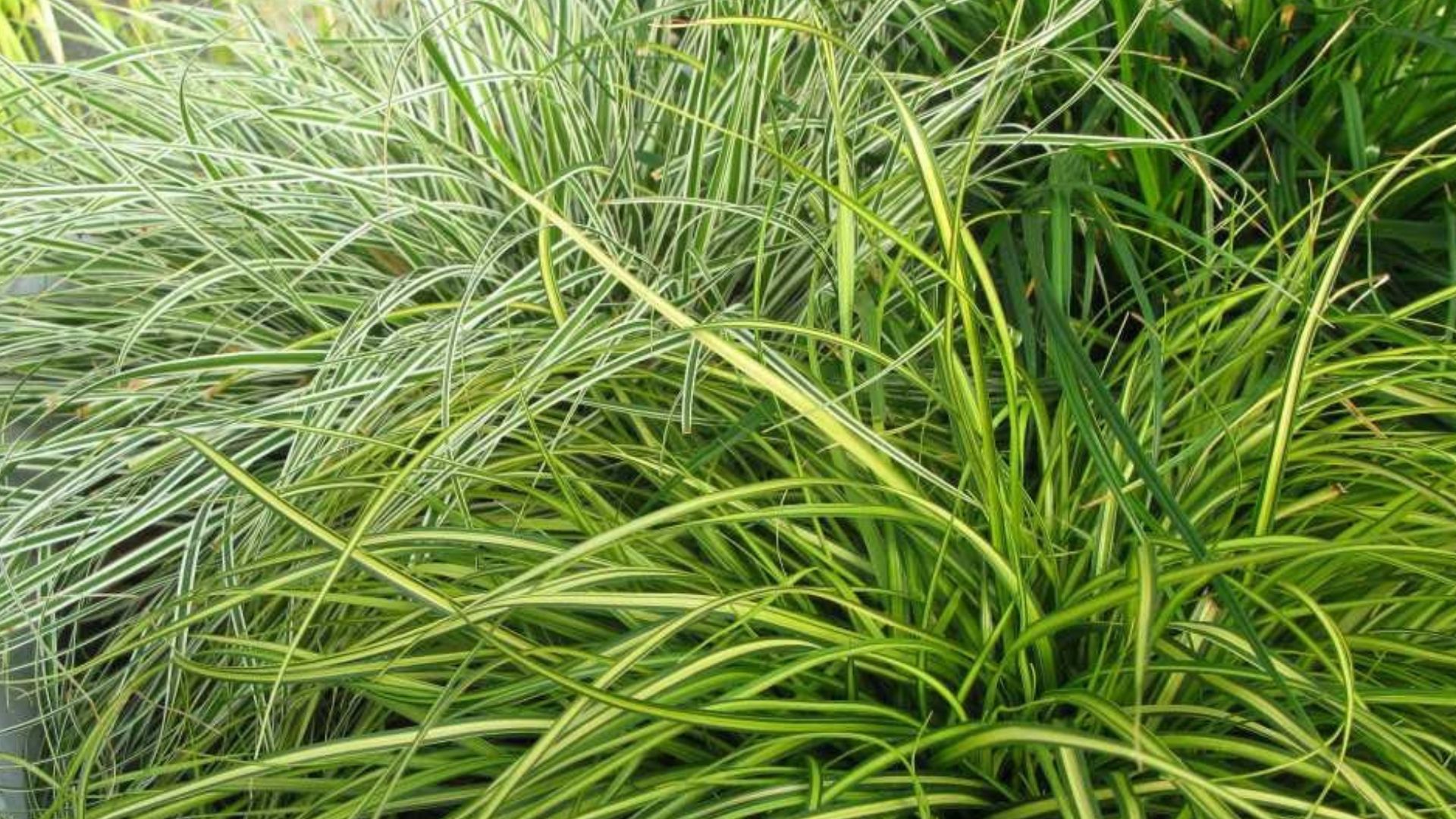 624-Billeder i mails og artikler (1920 × 1080px) - 2023-11-07T124852.309.jpg