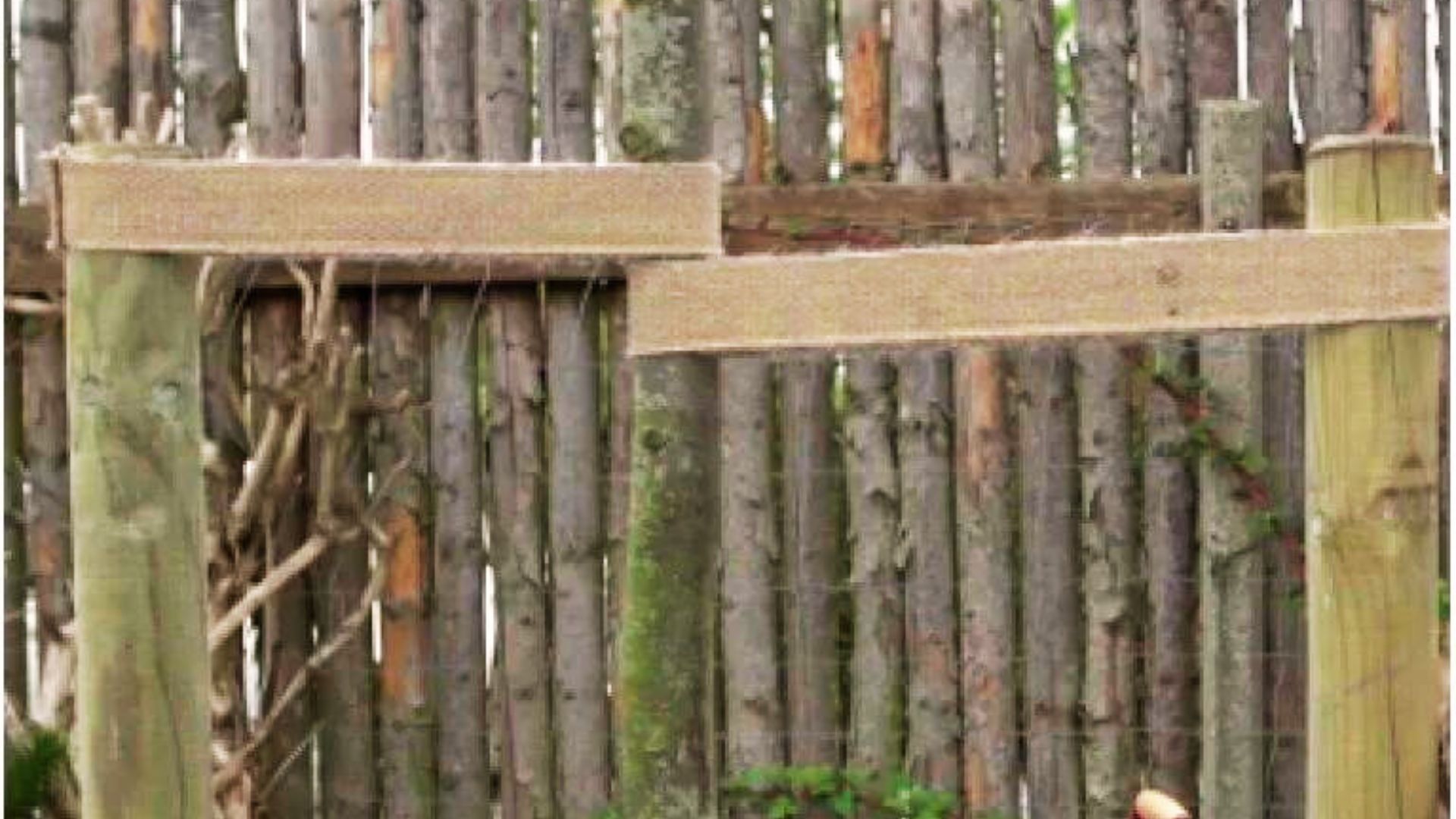 625-Billeder i mails og artikler (1920 × 1080px) - 2023-12-04T094856.253.jpg