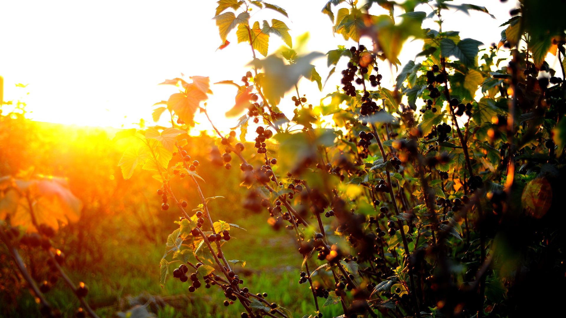 626-Billeder i mails og artikler (1920 × 1080px) - 2024-01-30T080812.874.jpg