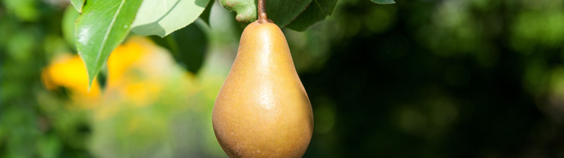 626-til lister (1920 × 540px) (95).jpg