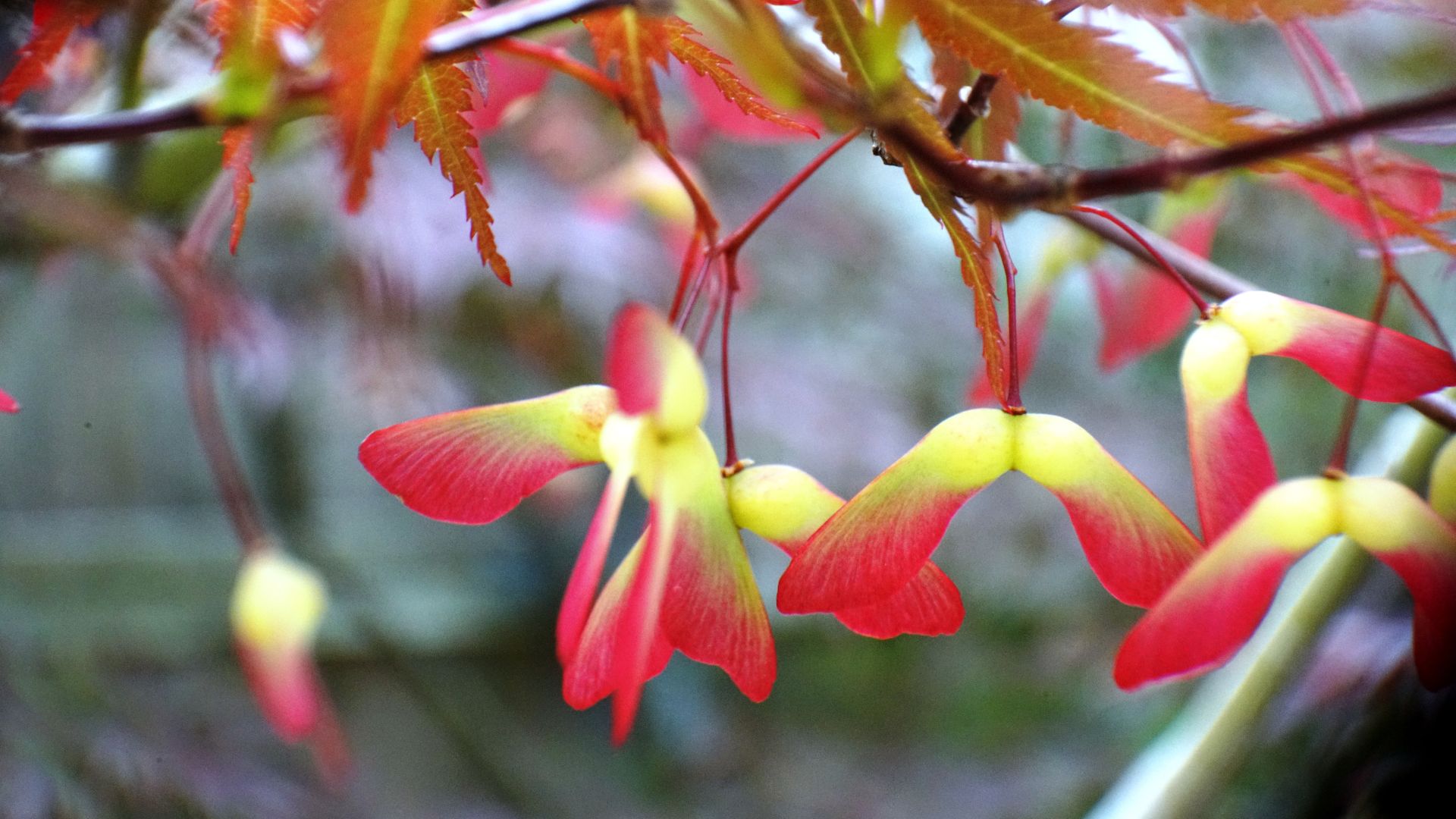 628-Billeder i mails og artikler (1920 × 1080px) (40).jpg