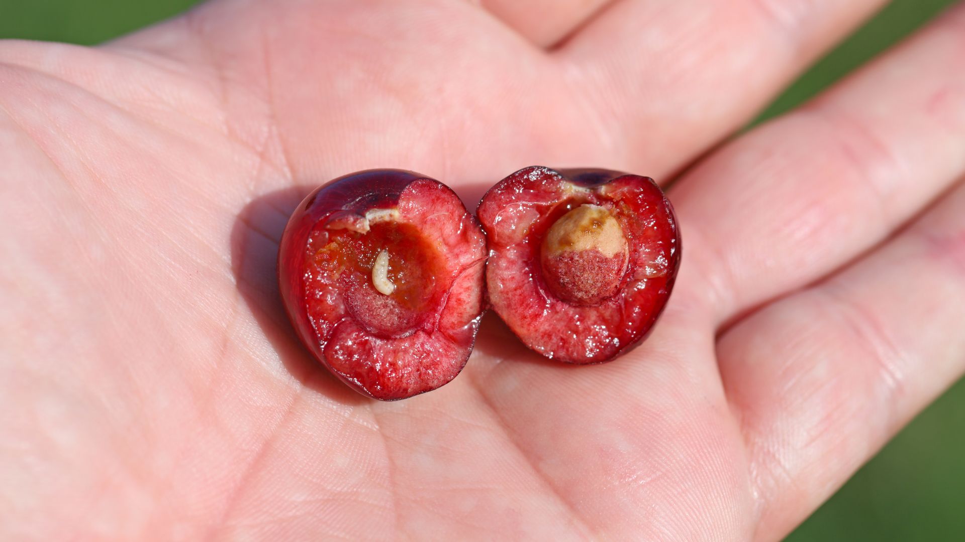 628-Billeder i mails og artikler (1920 × 1080px) (57).jpg