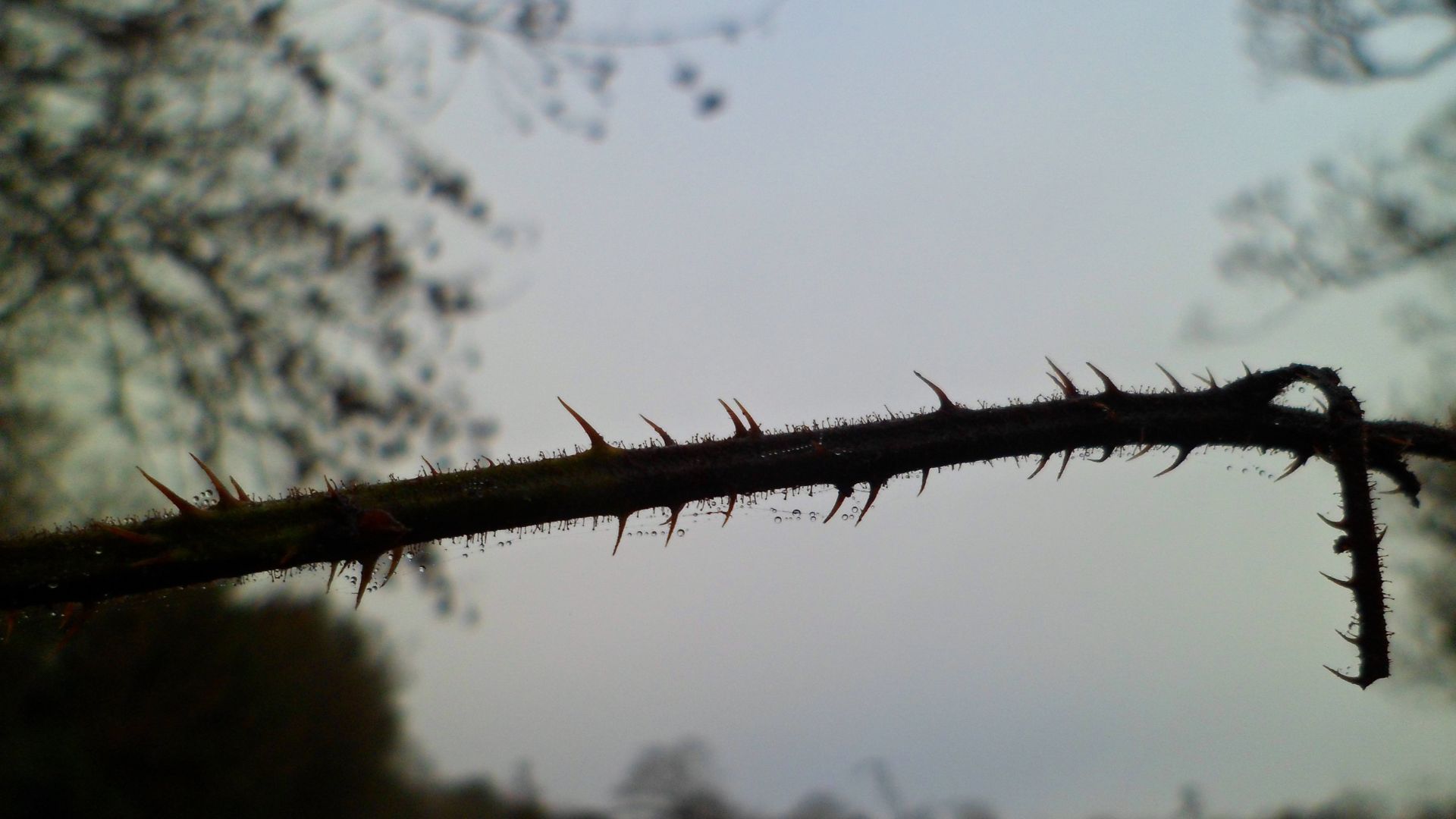 630-Billeder i mails og artikler (1920 × 1080px) - 2024-01-26T140132.701.jpg