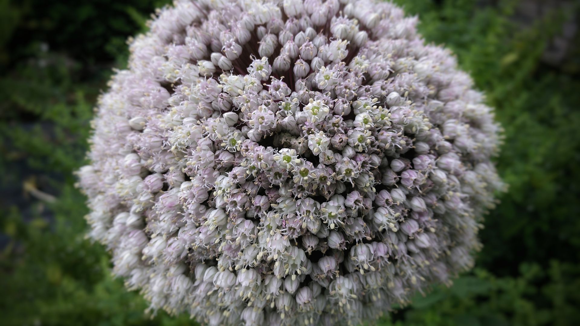 637-Billeder i mails og artikler (1920 × 1080px) (82).jpg