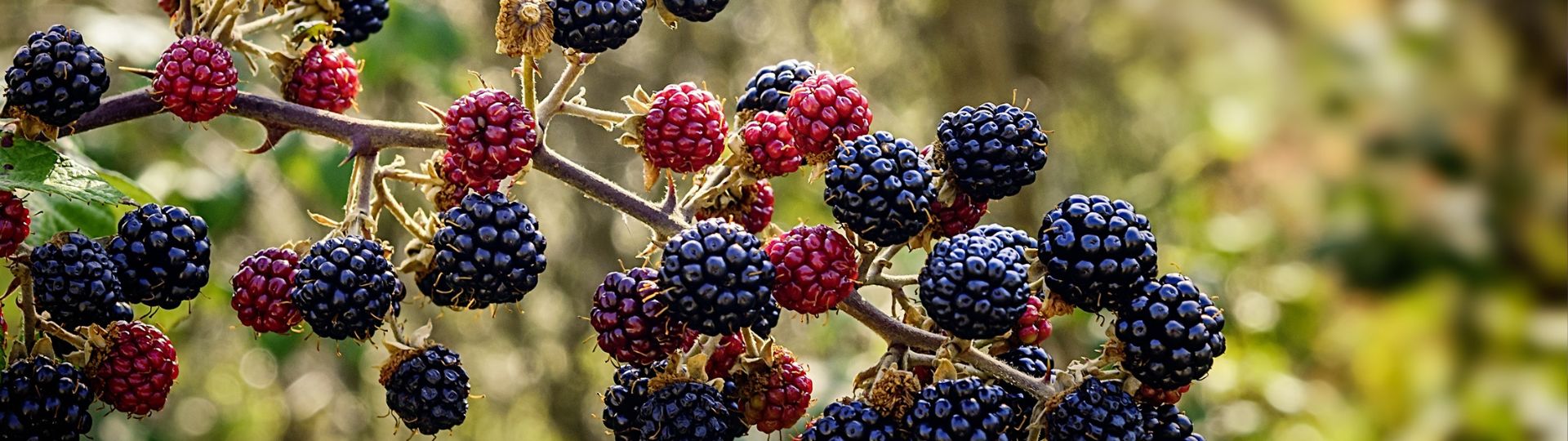 639-til lister (1920 × 540px) (71).jpg