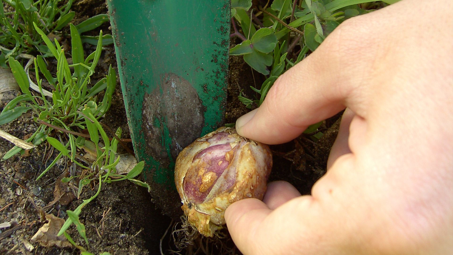 647-Billeder i mails og artikler (1920 × 1080px) (55).jpg