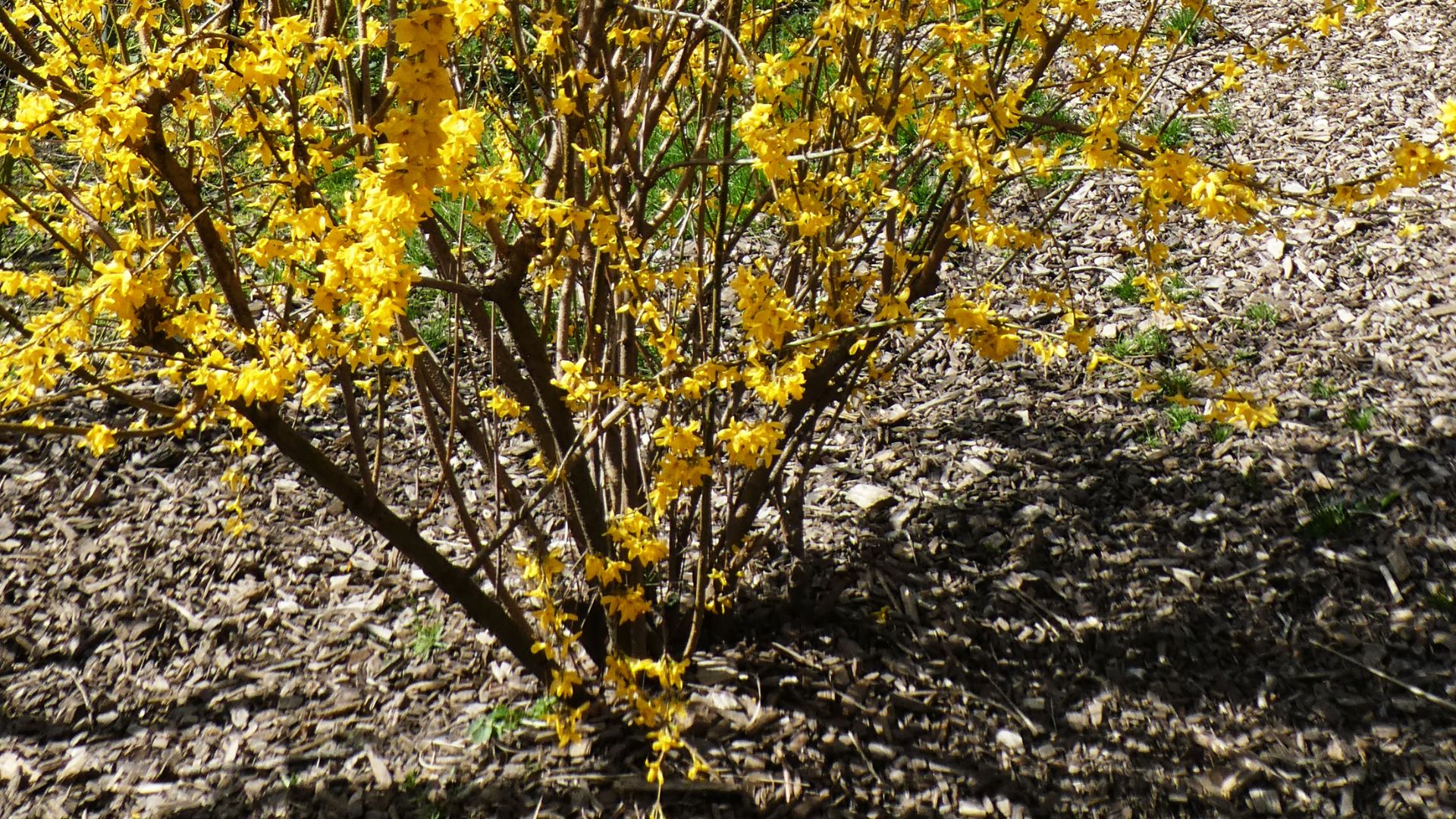 647-Billeder i mails og artikler (1920 × 1080px) - 2023-12-04T162519.605.jpg