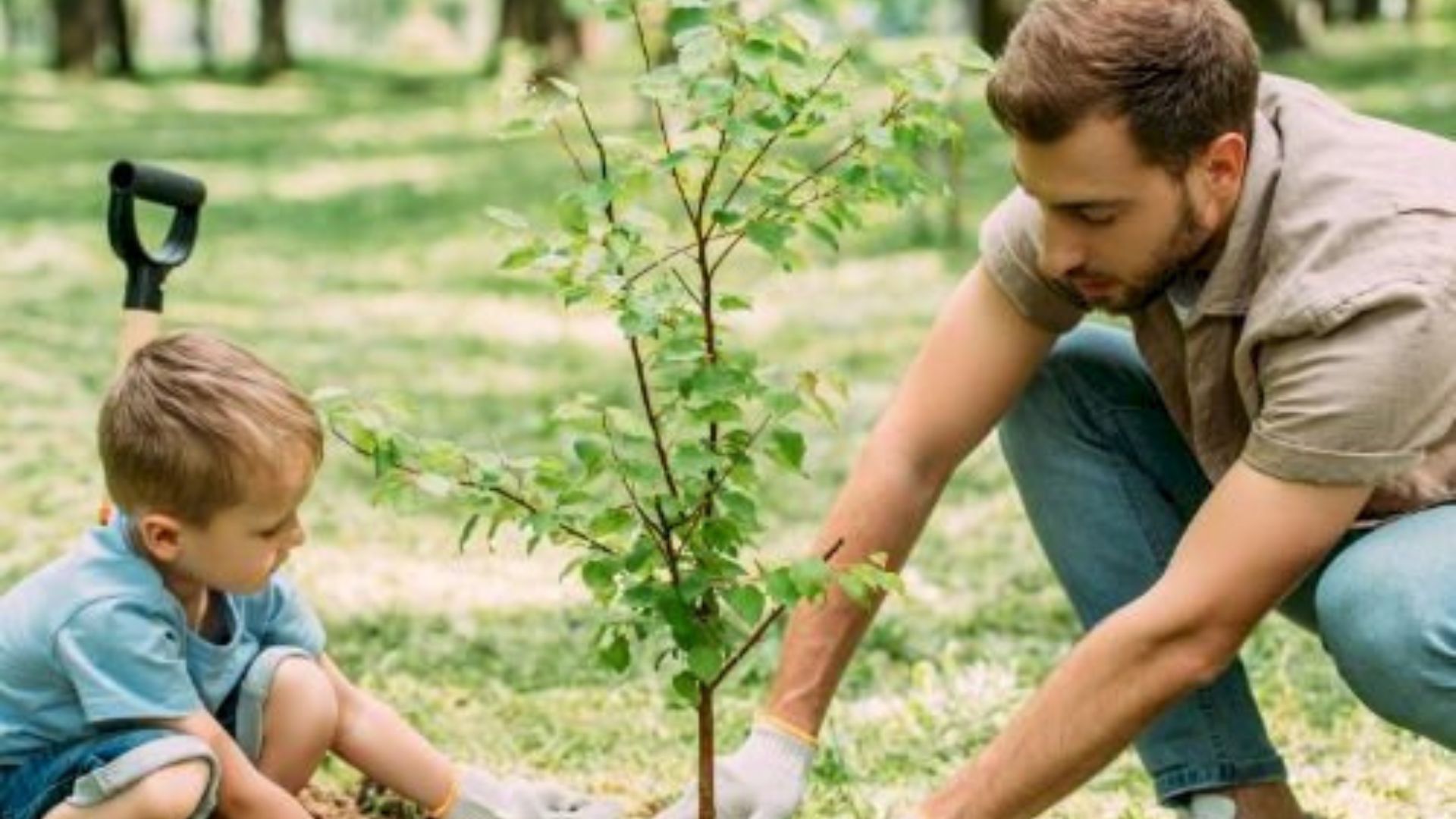 651-Billeder i mails og artikler (1920 × 1080px) - 2024-01-24T133036.315.jpg