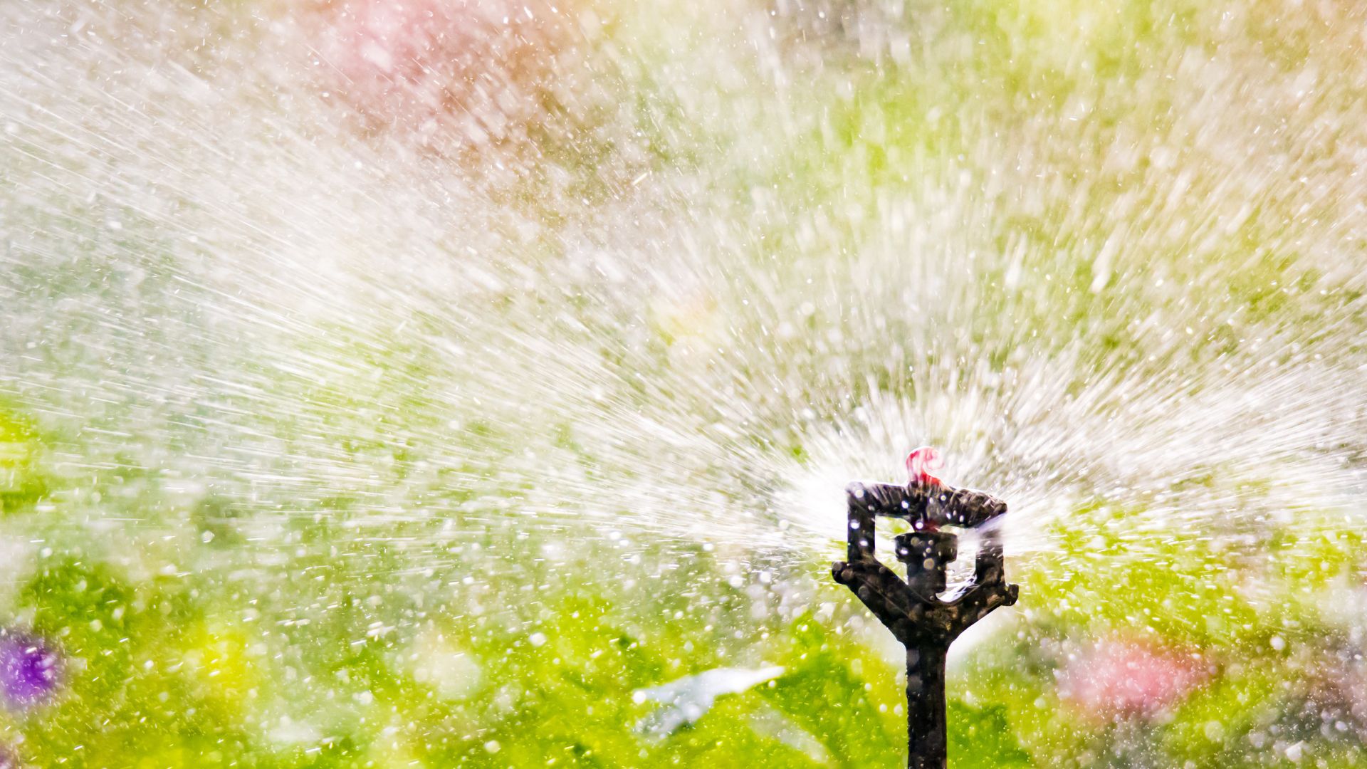 655-Billeder i mails og artikler (1920 × 1080px) - 2023-06-14T113708.794.jpg