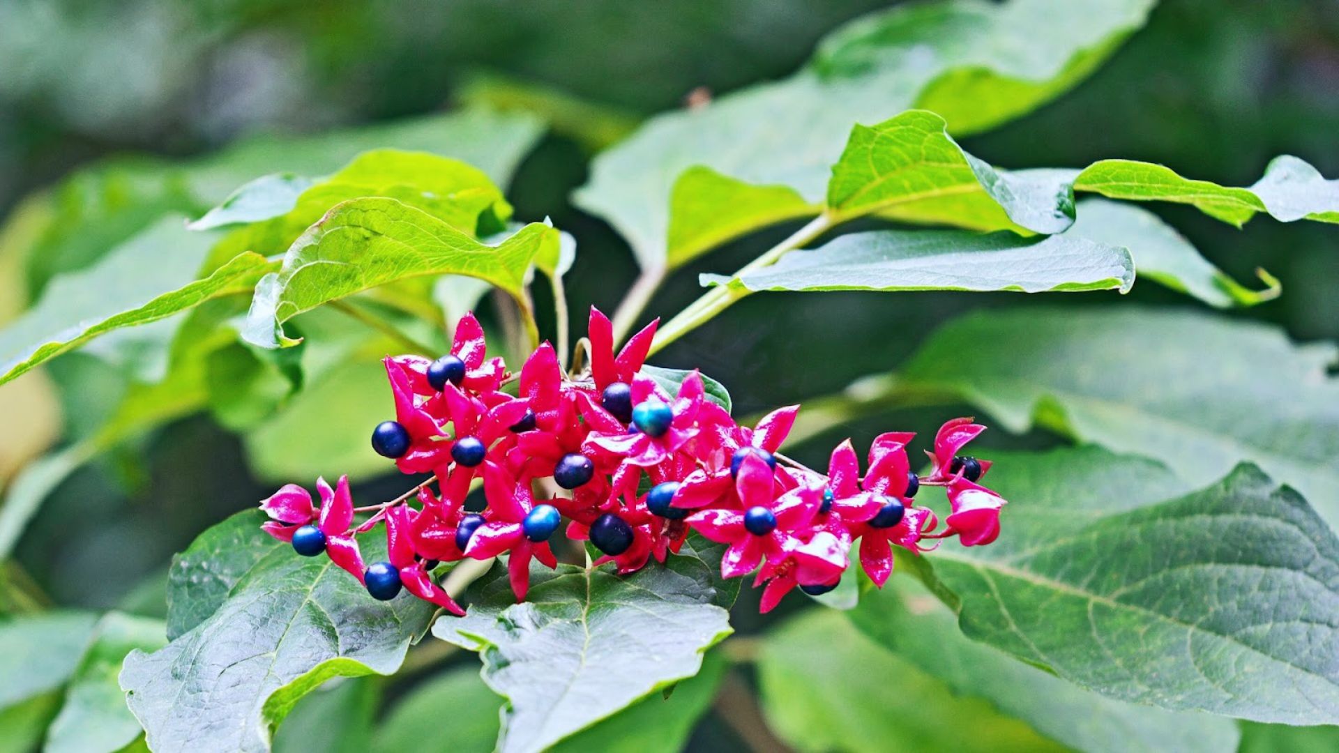 658-Billeder i mails og artikler (1920 × 1080px) (14).jpg