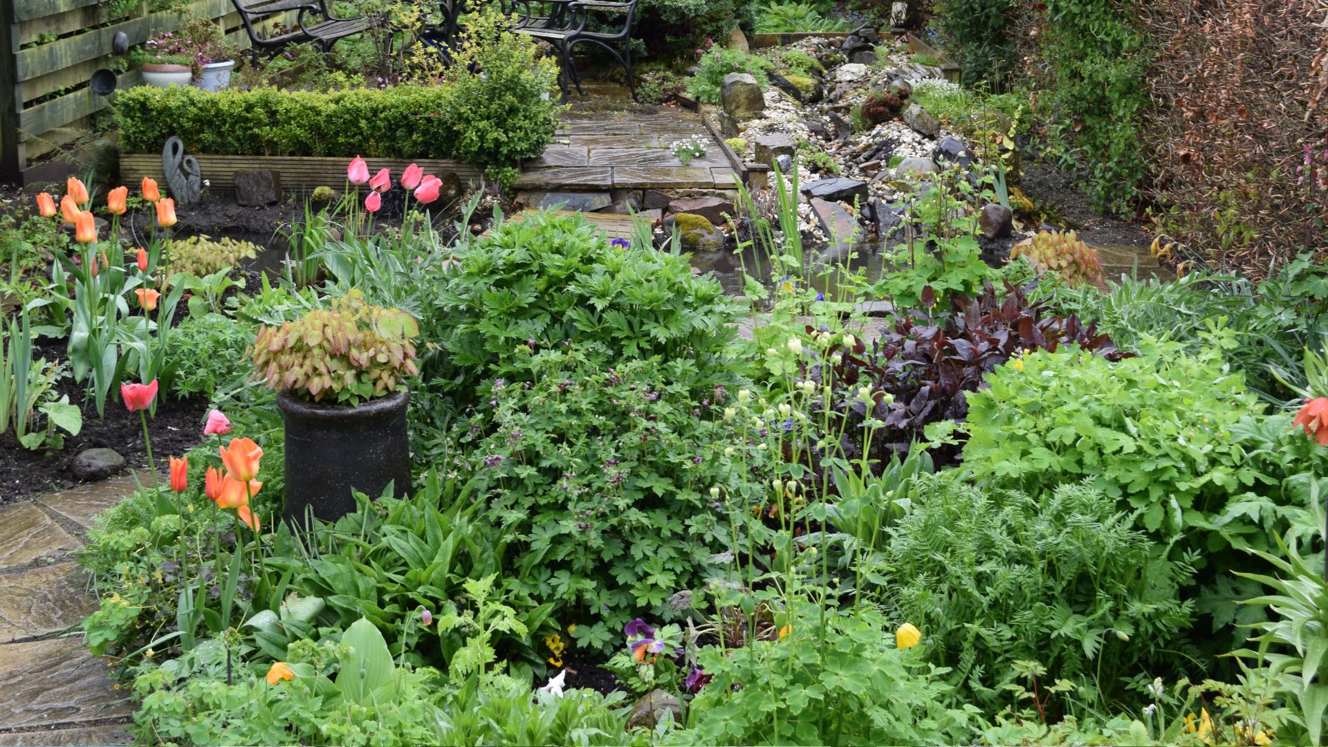 659-Billeder i mails og artikler (1920 × 1080px) - 2024-01-09T100858.661.jpg