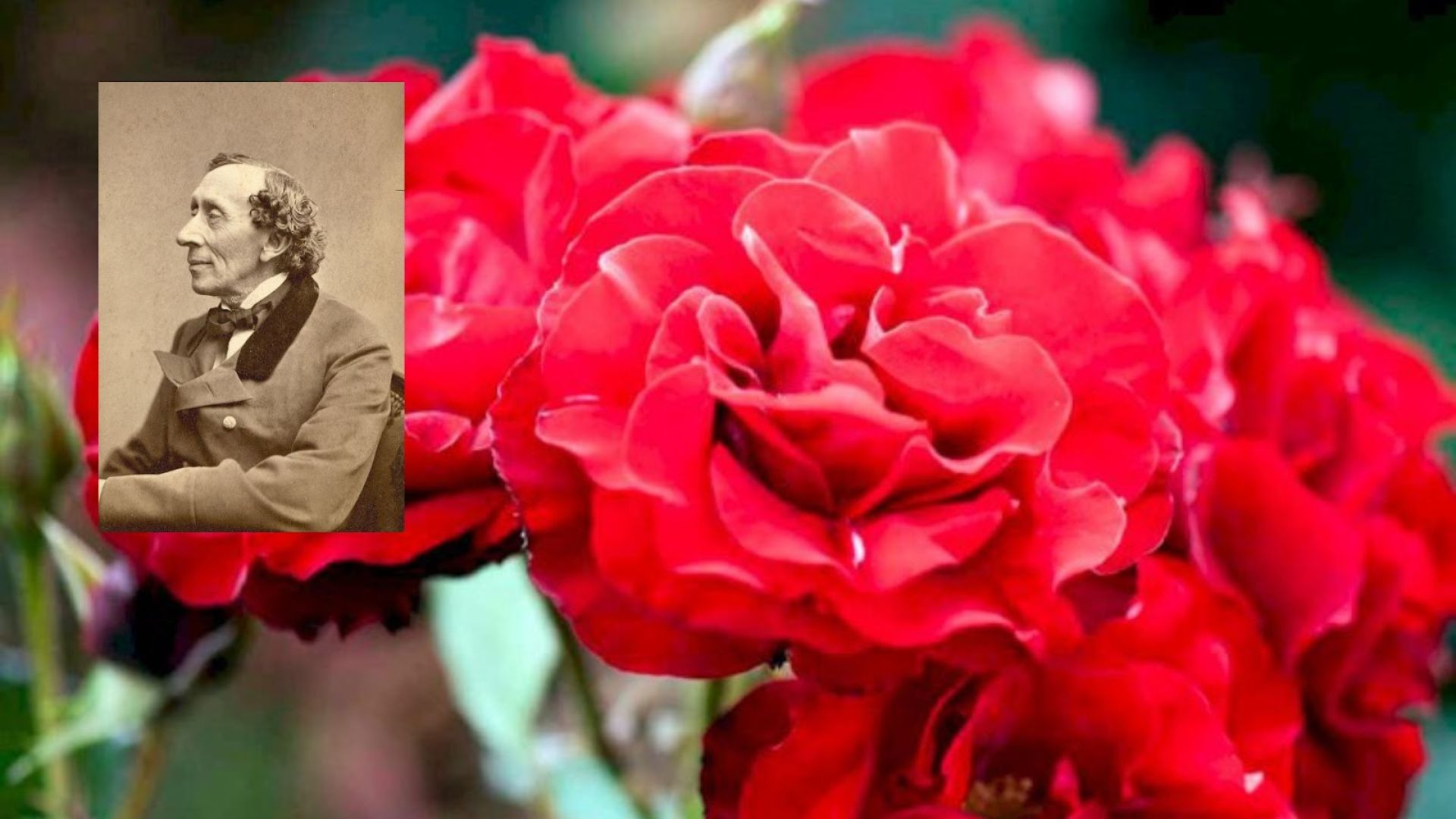 660-Billeder i mails og artikler (1920 × 1080px) (13).jpg