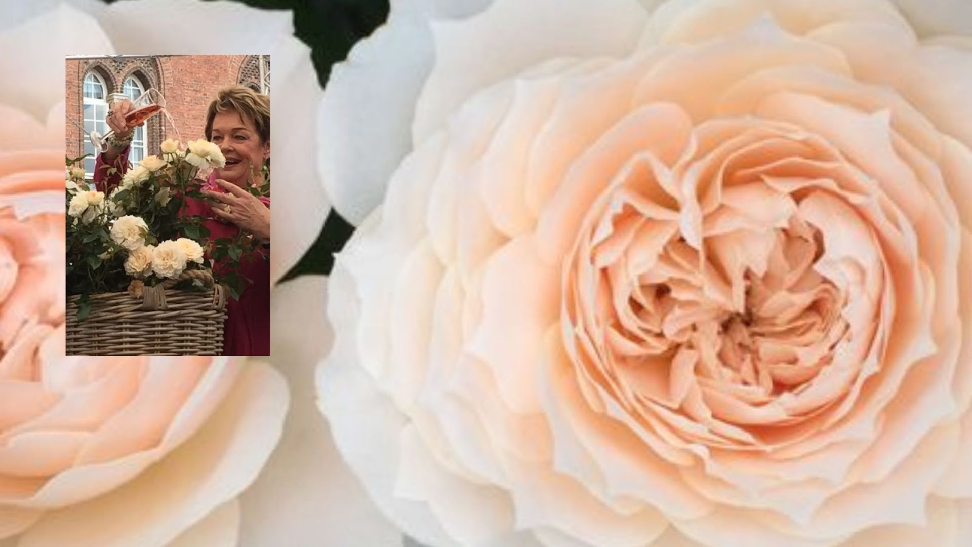 664-Billeder i mails og artikler (1920 × 1080px) (7).jpg