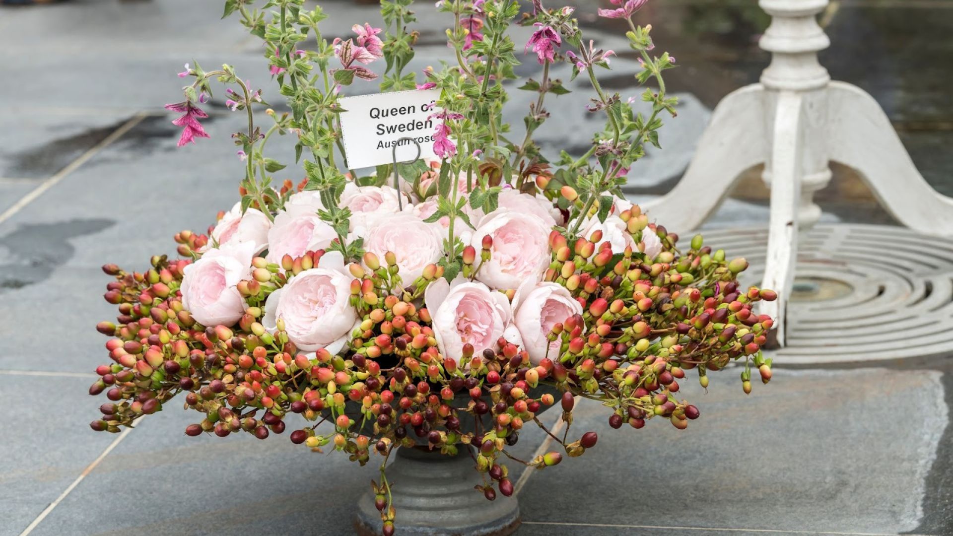 674-Billeder i mails og artikler (1920 × 1080px) (35).jpg