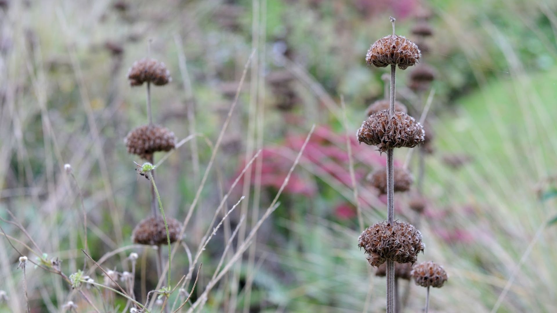 676-Billeder i mails og artikler (1920 × 1080px) - 2023-10-25T132208.908.jpg