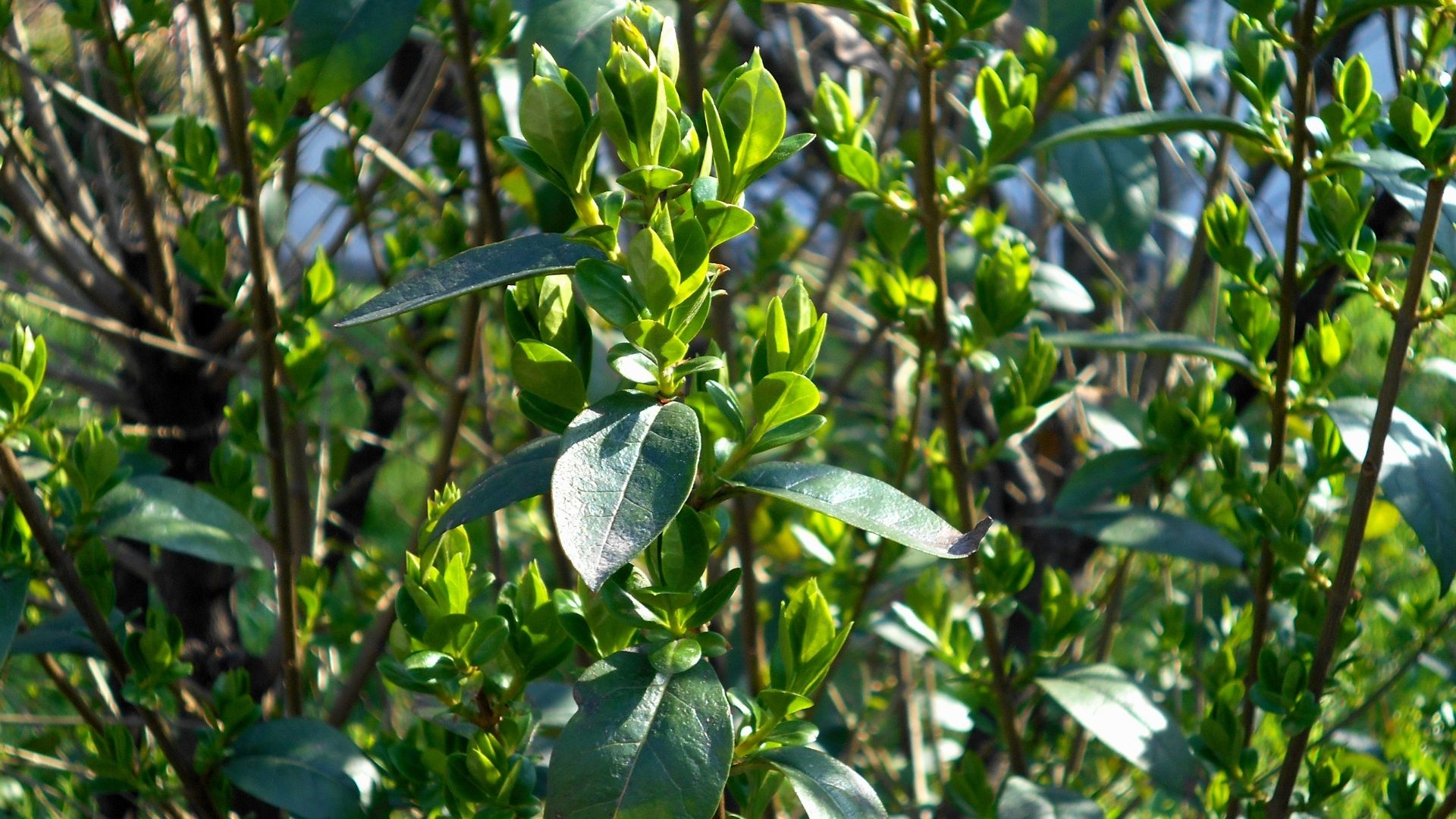 682-Billeder i mails og artikler (1920 × 1080px) (86).jpg