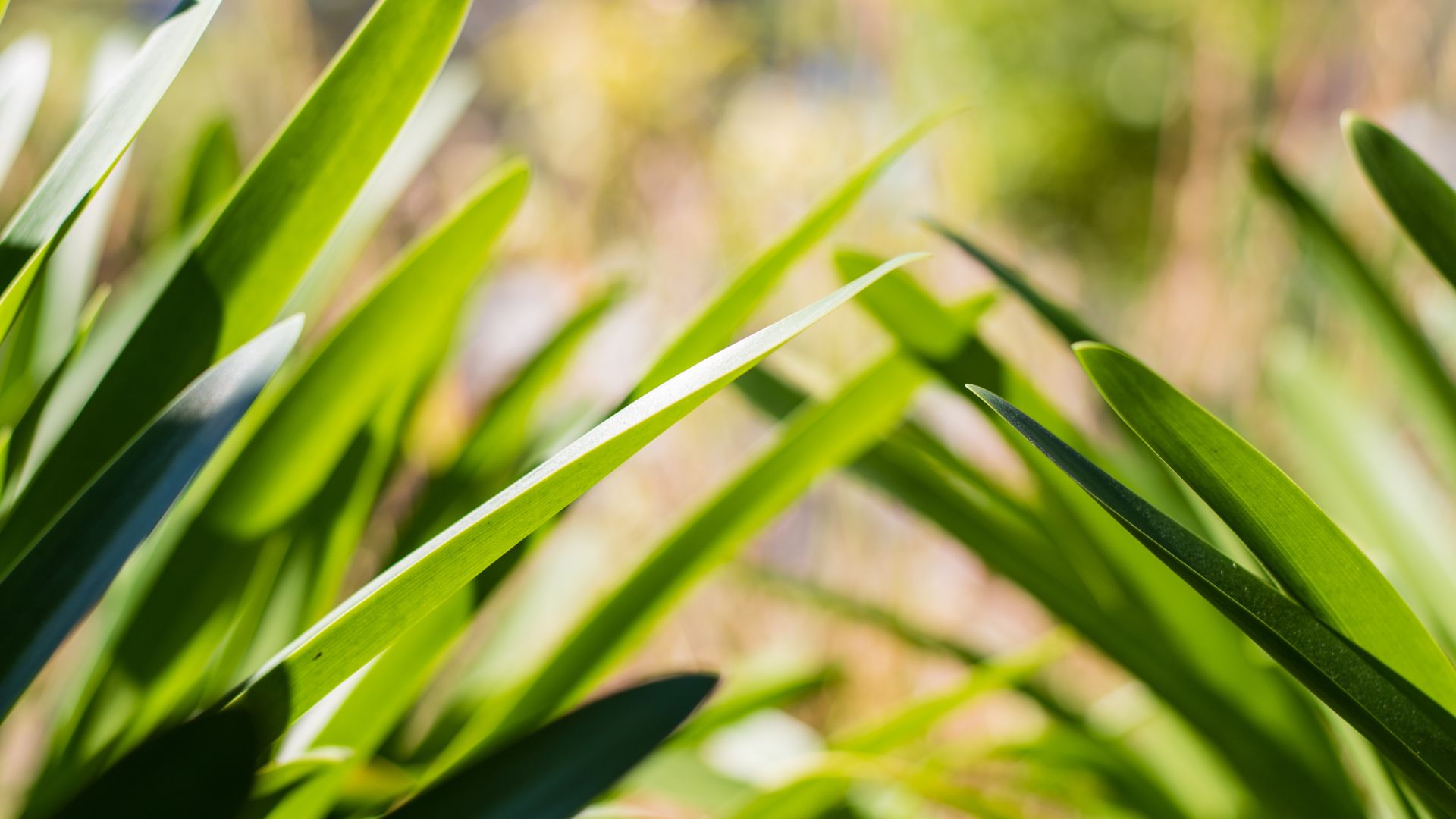 685-Billeder i mails og artikler (1920 × 1080px) (74).jpg