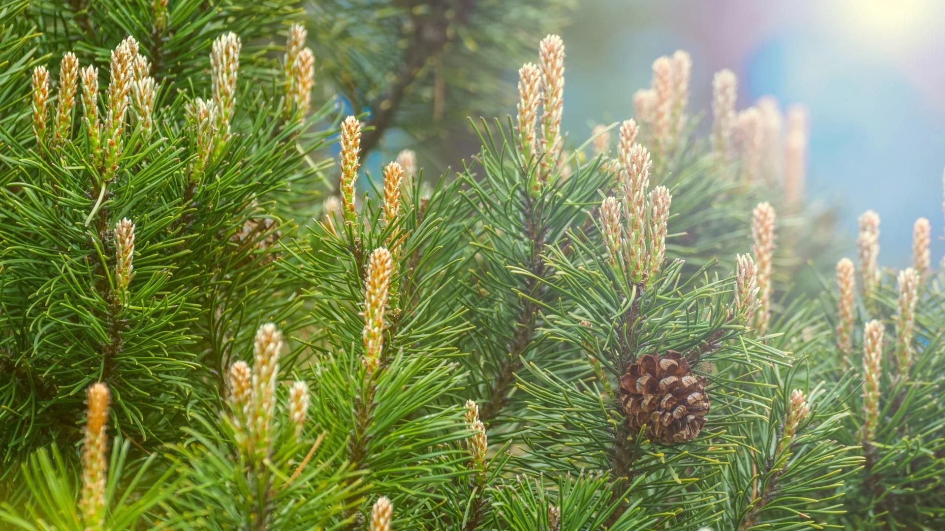 686-Billeder i mails og artikler (1920 × 1080px) (85).jpg